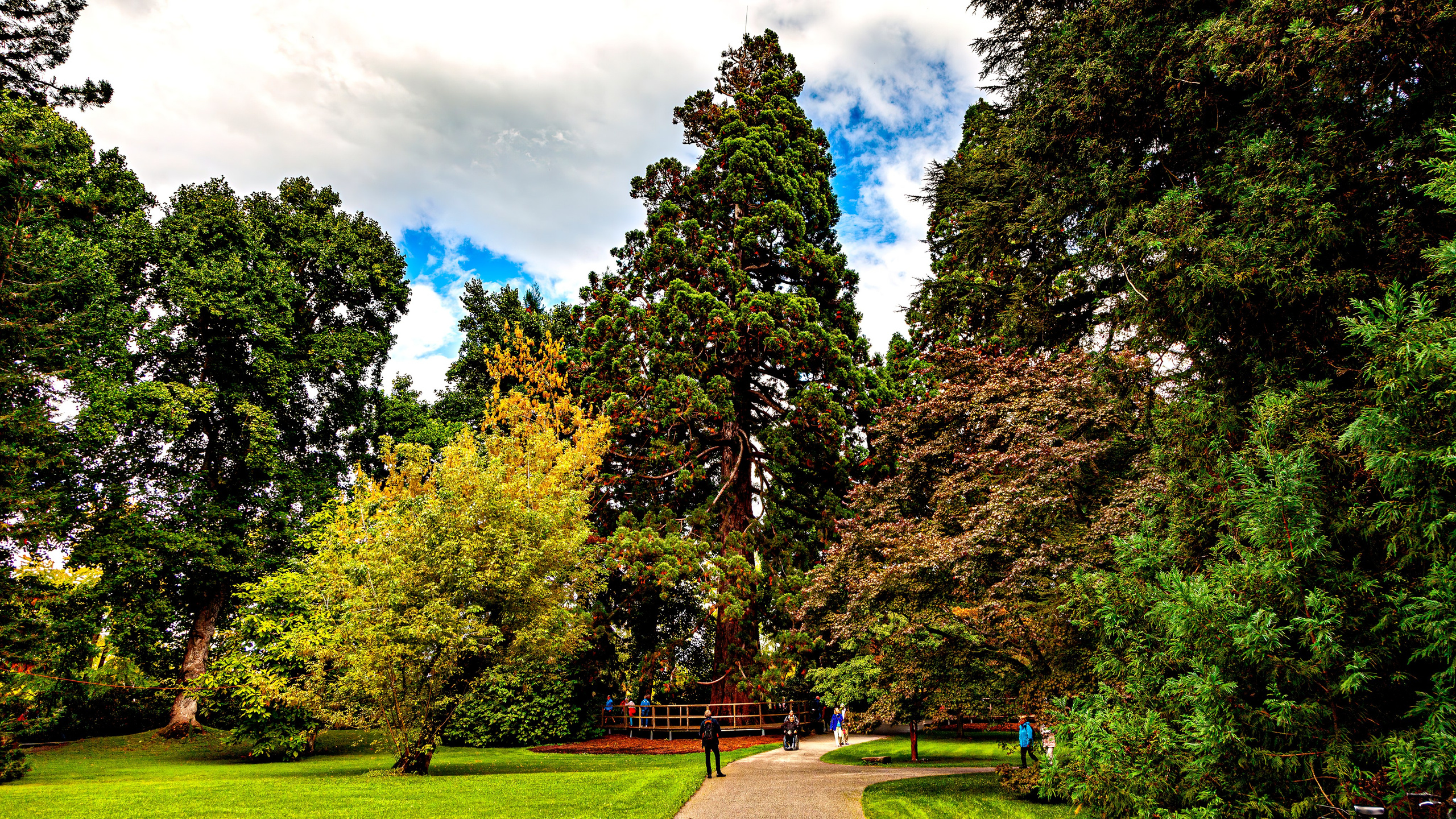 187.Mainau.Germany.24.9.2024. Путешествия в формате 360......