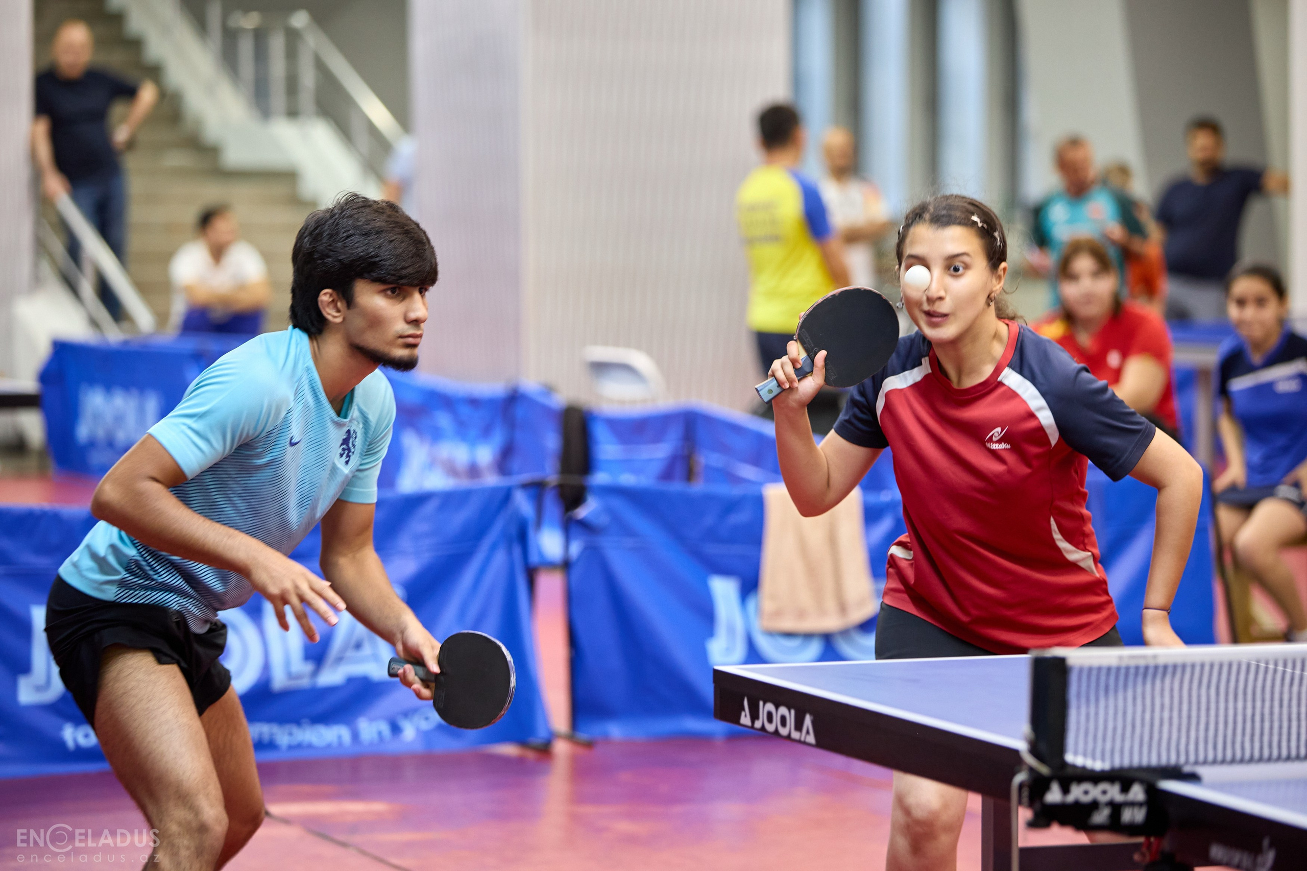 Table Tennis. Mix Tournament. Фотограф в Баку Kamran Enceladus