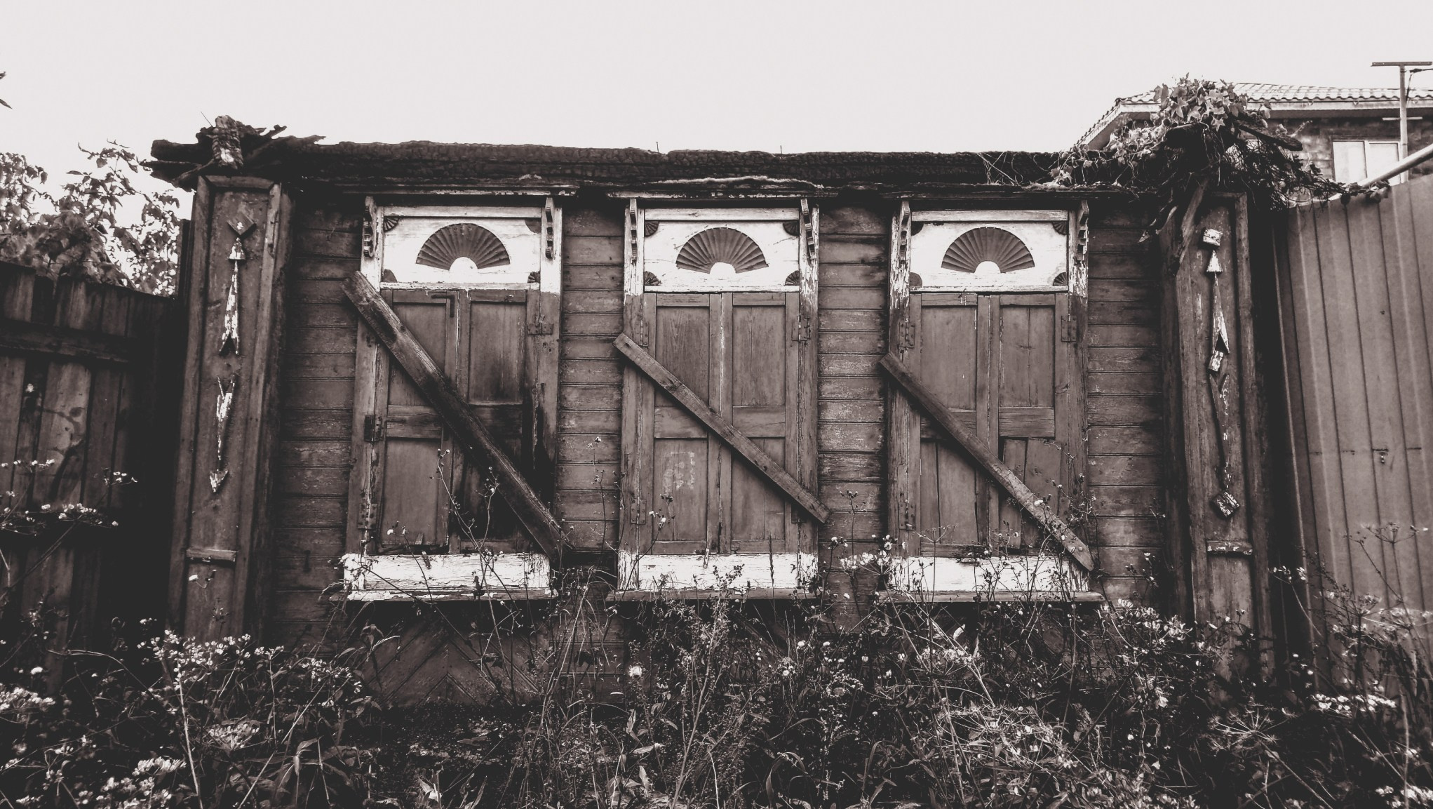 Без названия