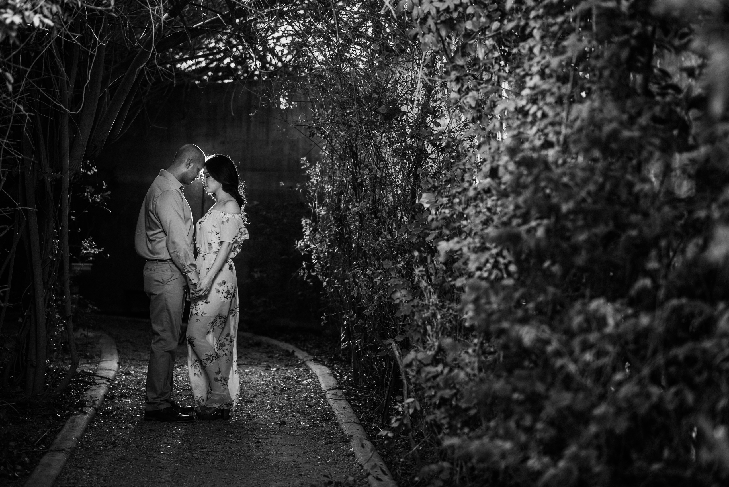 Ale y Mario Pre-boda. Miguelsalasfoto