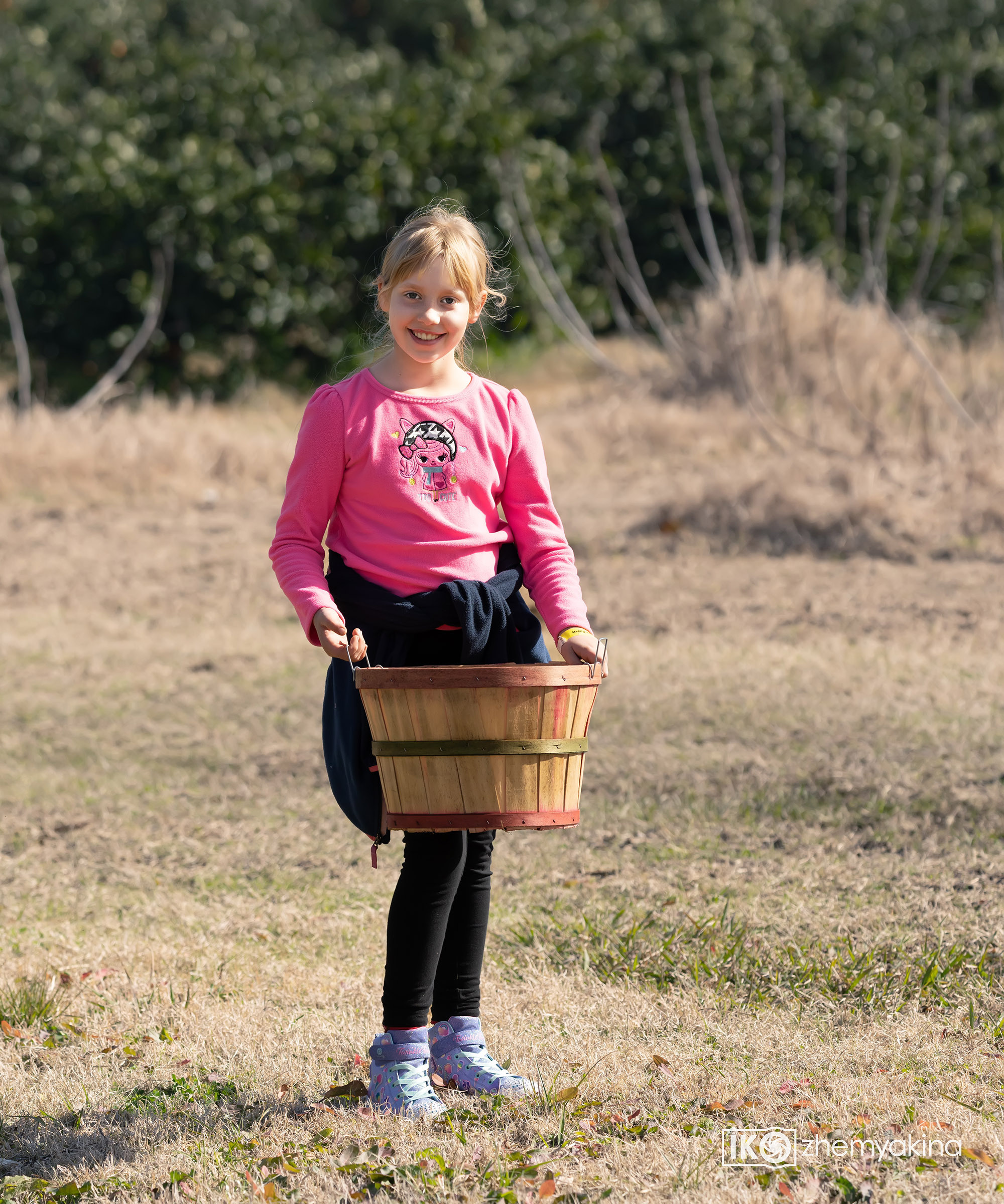 Citrus picking. Photographer Irina Kozhemyakina. Houston