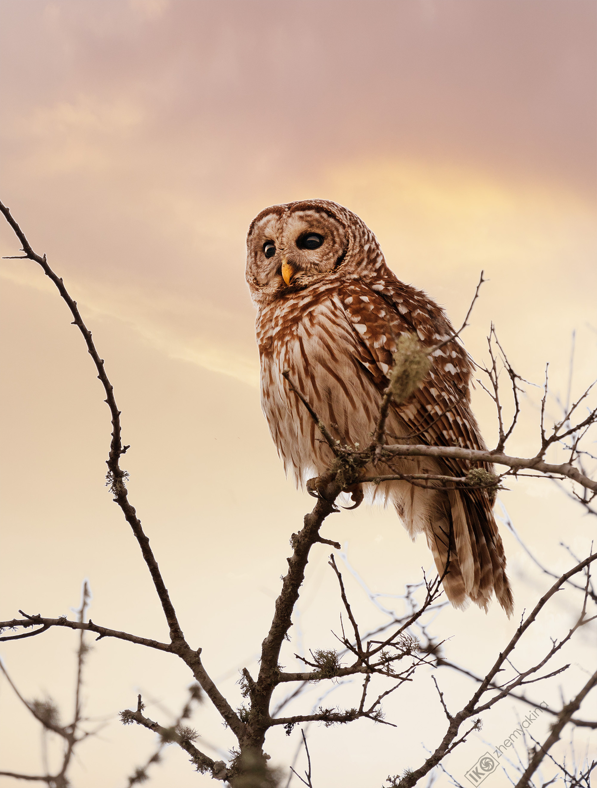 San Bernard National Wildlife. Photographer Irina Kozhemyakina. Houston
