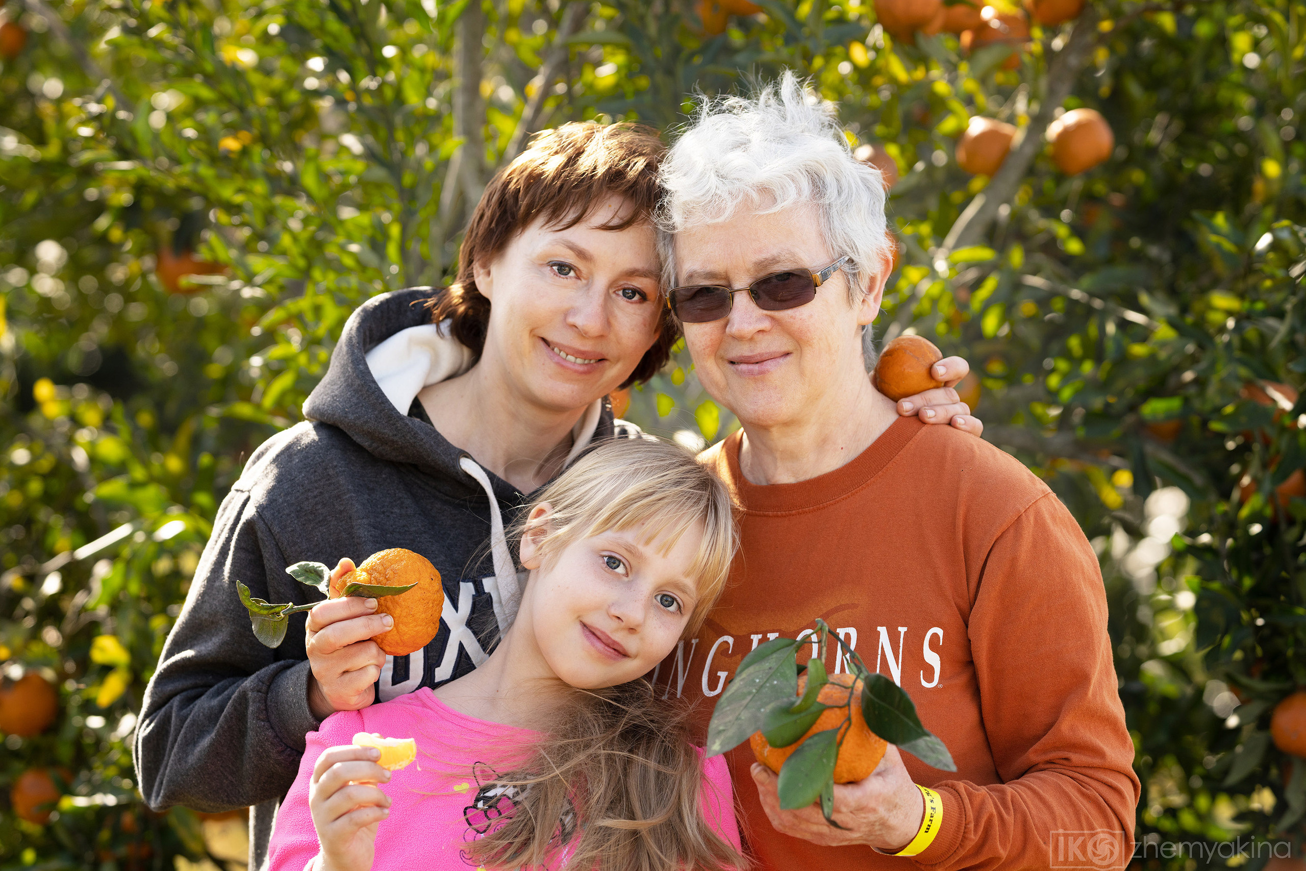 Citrus picking. Photographer Irina Kozhemyakina. Houston