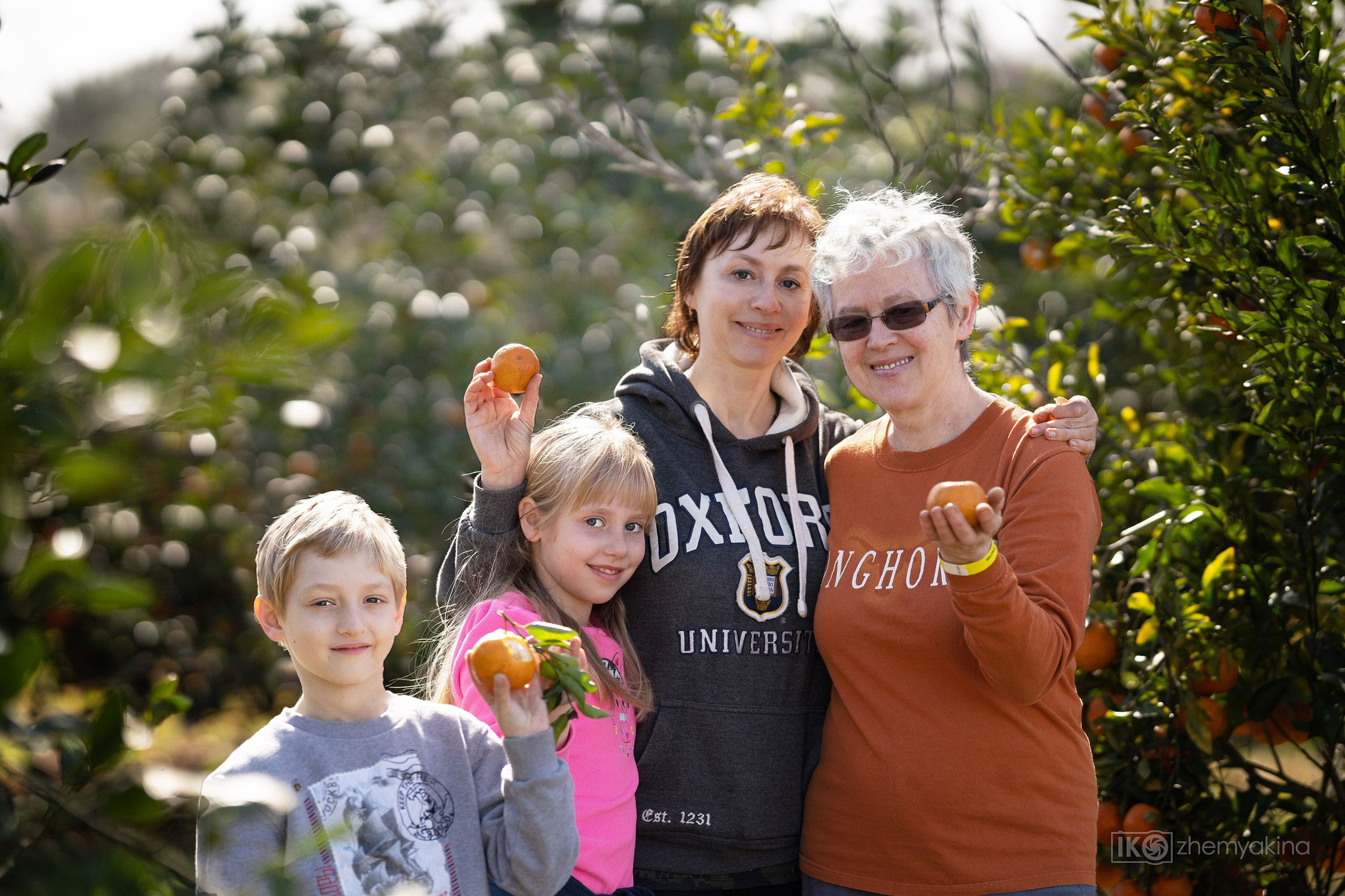 Citrus picking. Photographer Irina Kozhemyakina. Houston
