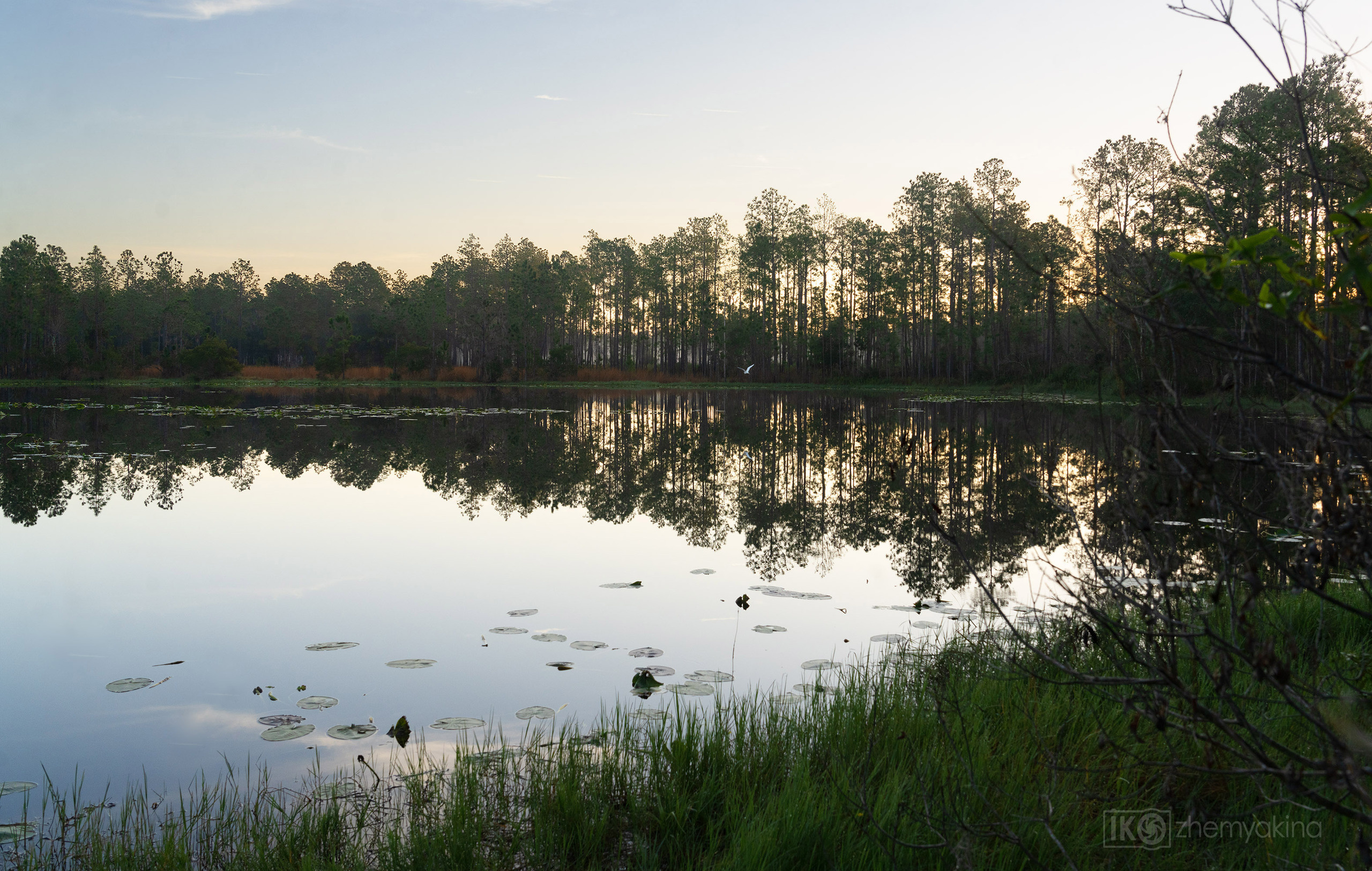 Little Manatee River State Park, Florida. Photographer Irina Kozhemyakina. Houston