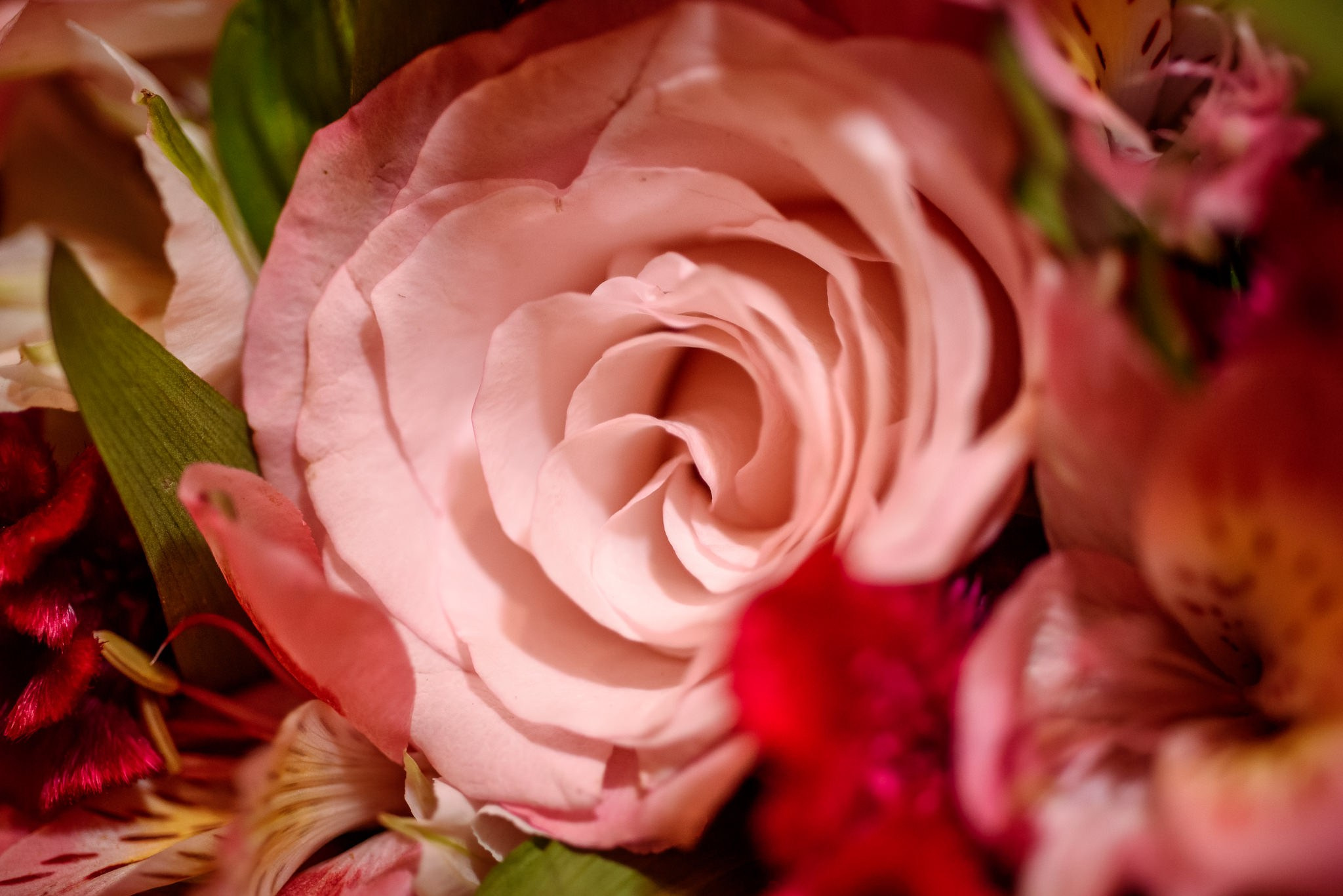 Malu e Felipe. Fotografia de casamentos e ensaios em avaré Jônata Oliveira