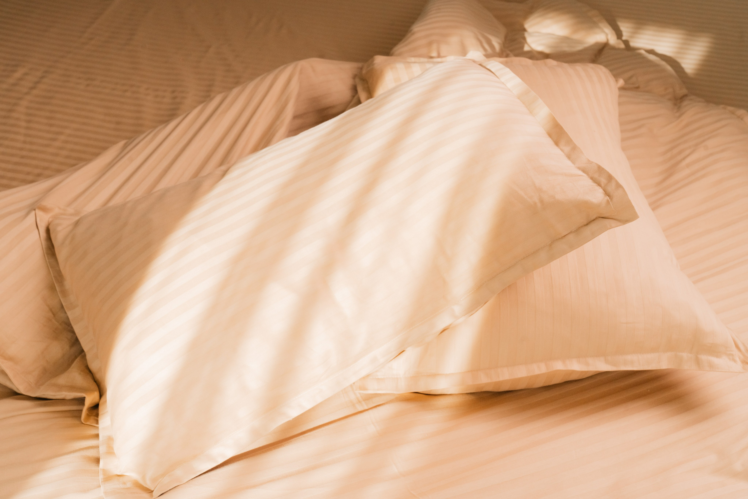 Коммерческая съёмка для текстильной фабрики. Фотограф в Узбекистане и Самарканде Джасур Марупов