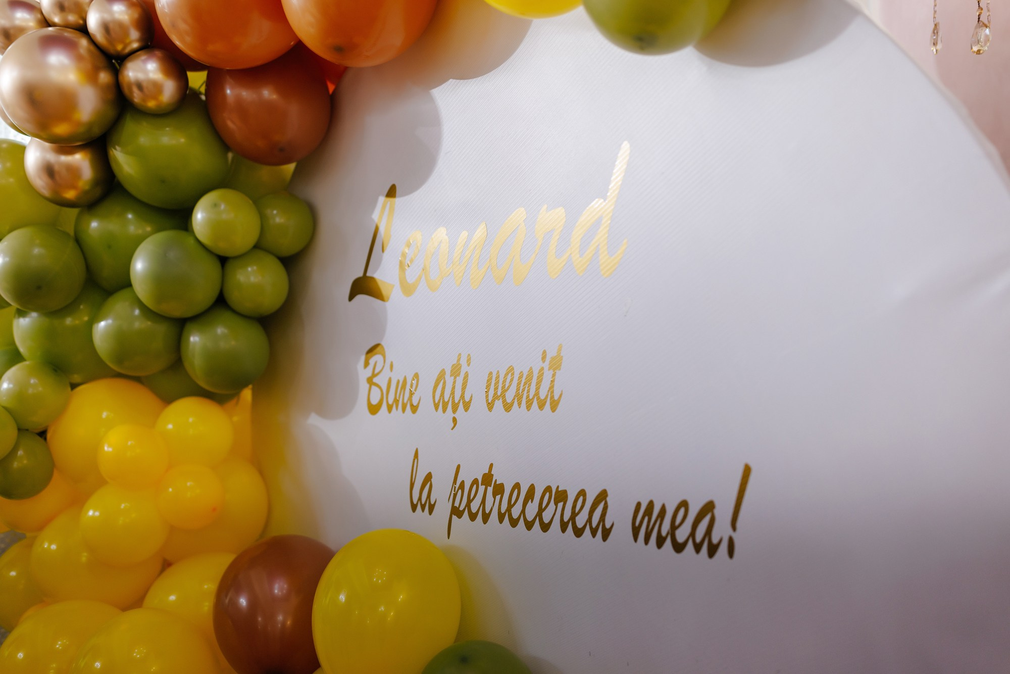 Leonard. Wedding photographer and videographer