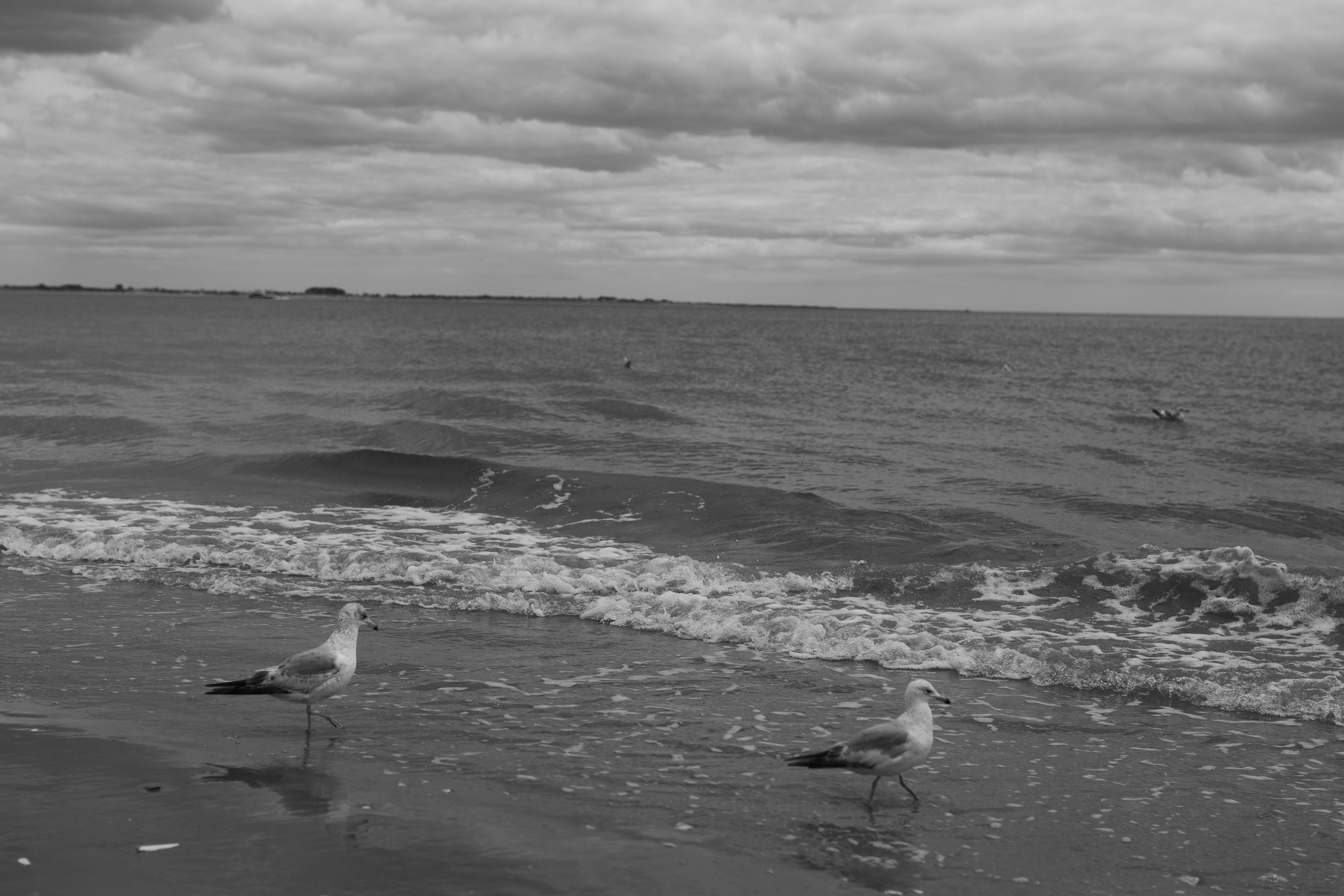 Street съемка. NYC based photographer