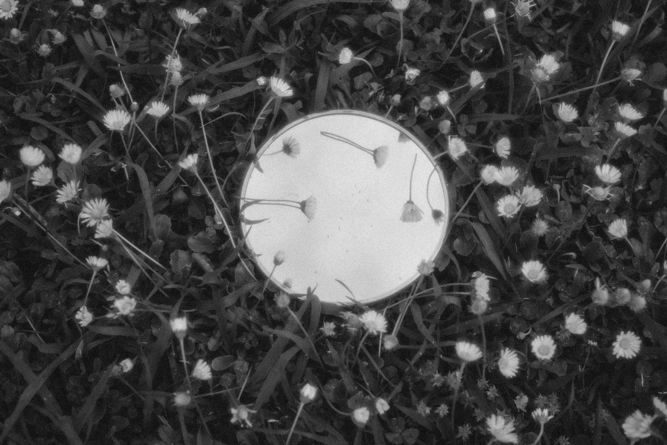 Катя с лилией. Фотограф Мила Ромашкина