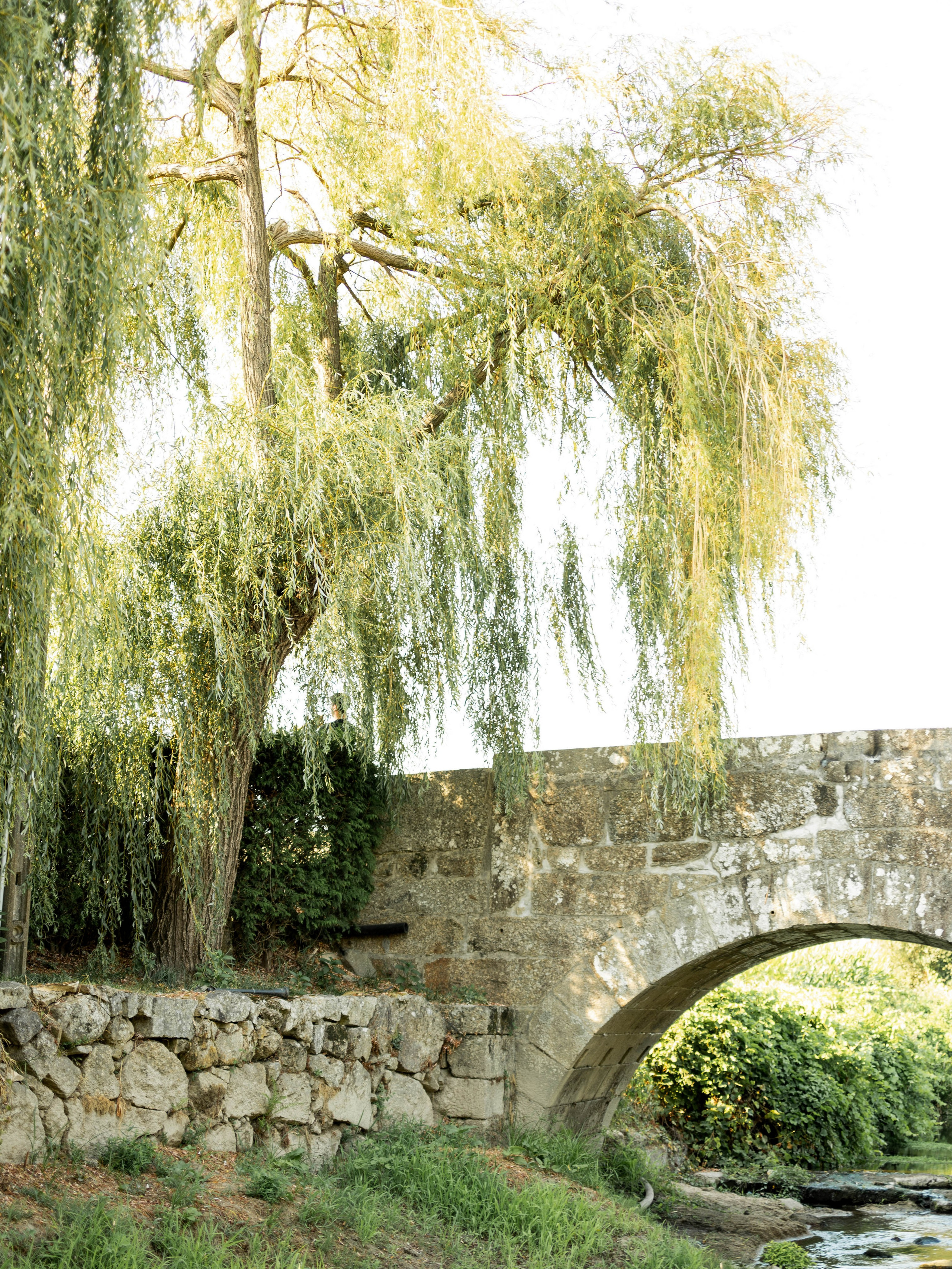 Braga Wedding Photographer | Fica. Portugal Wedding Photographer | Fica