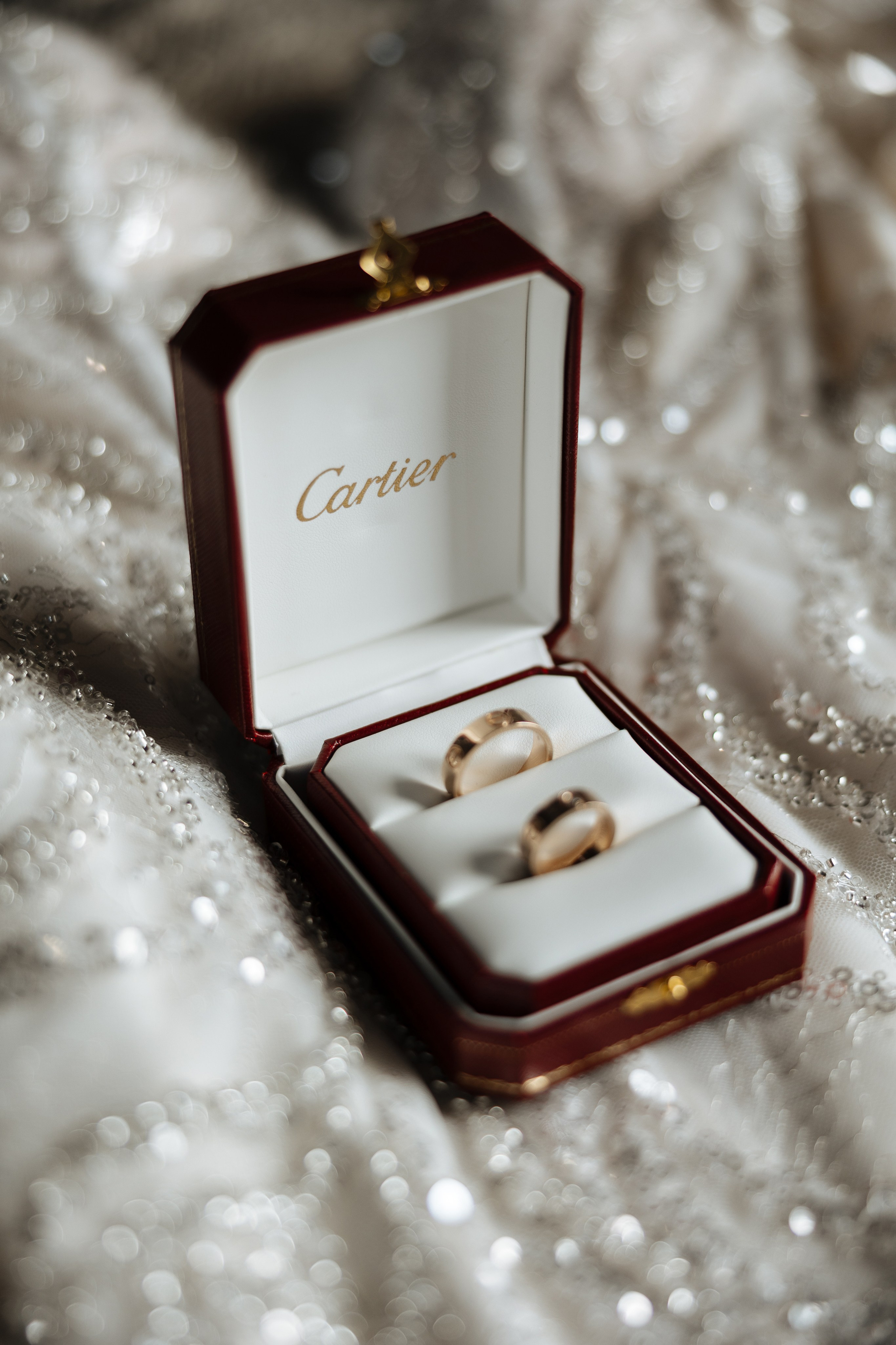 Diana Vlad. Ірина Терещук