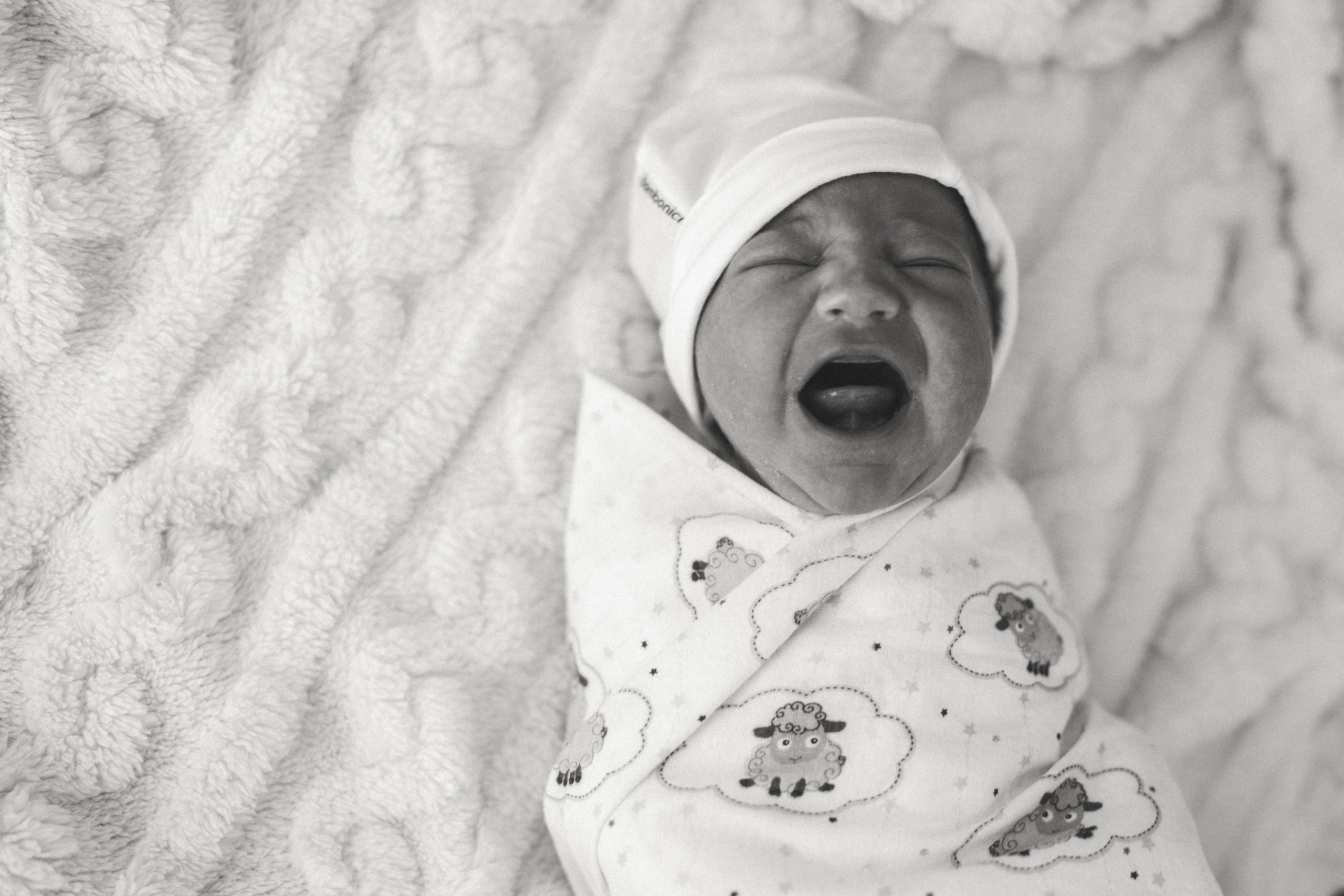 Vaniușa | primele zile de viață. Home