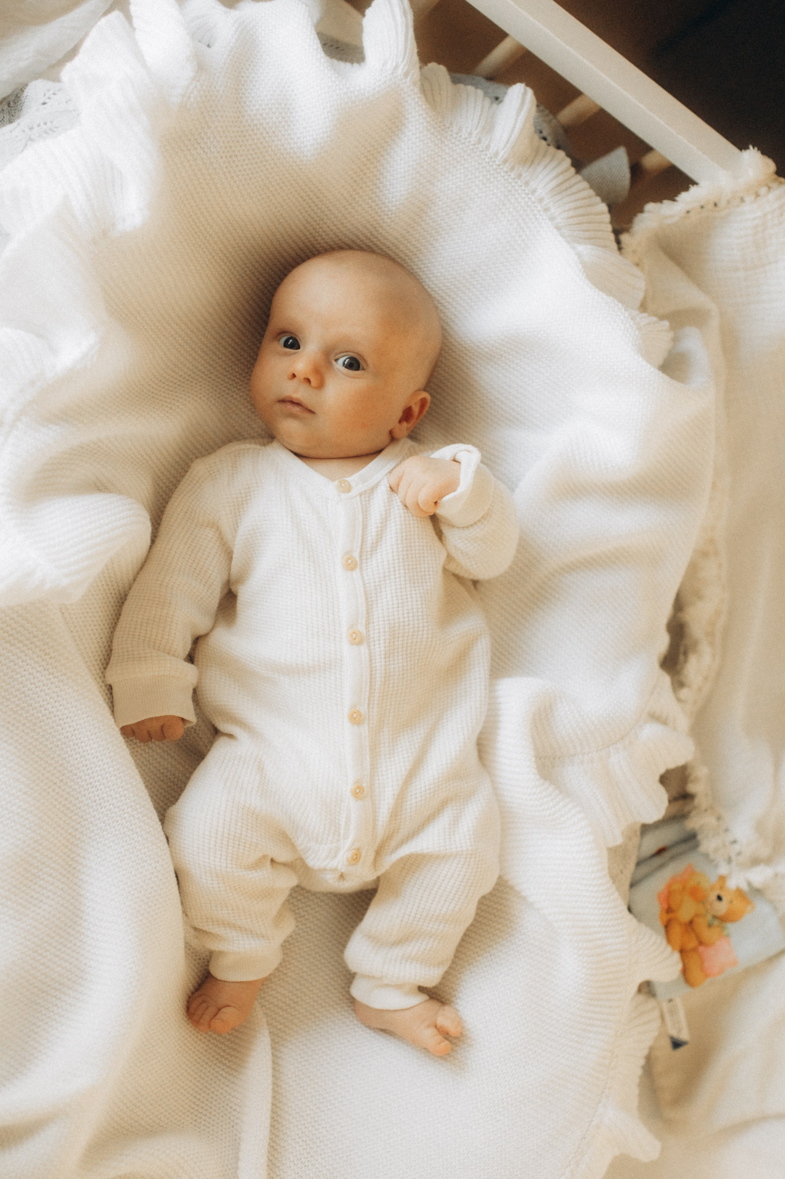 Kleiner Schatz. Julia Sööt Fotografie