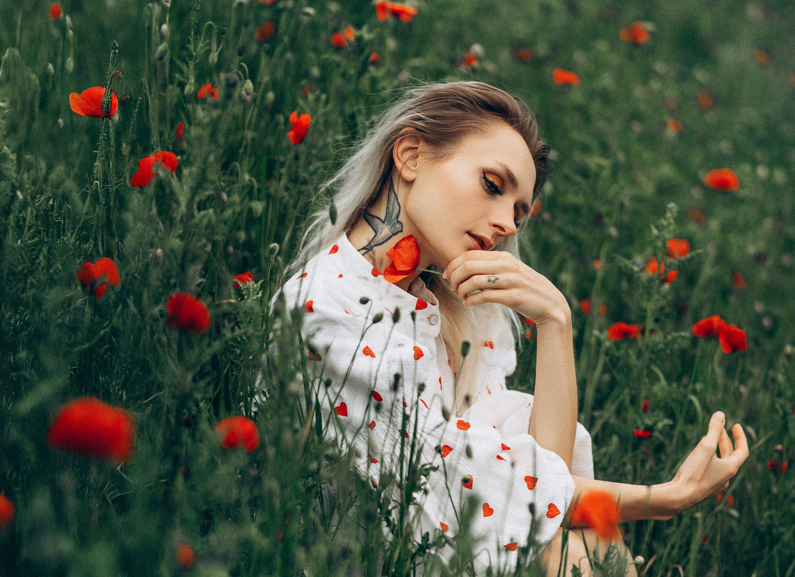Mohnblumen. Pusteblumen. Familien, Lifestyle und Portrait Fotografin in Trier, Luxembourg
