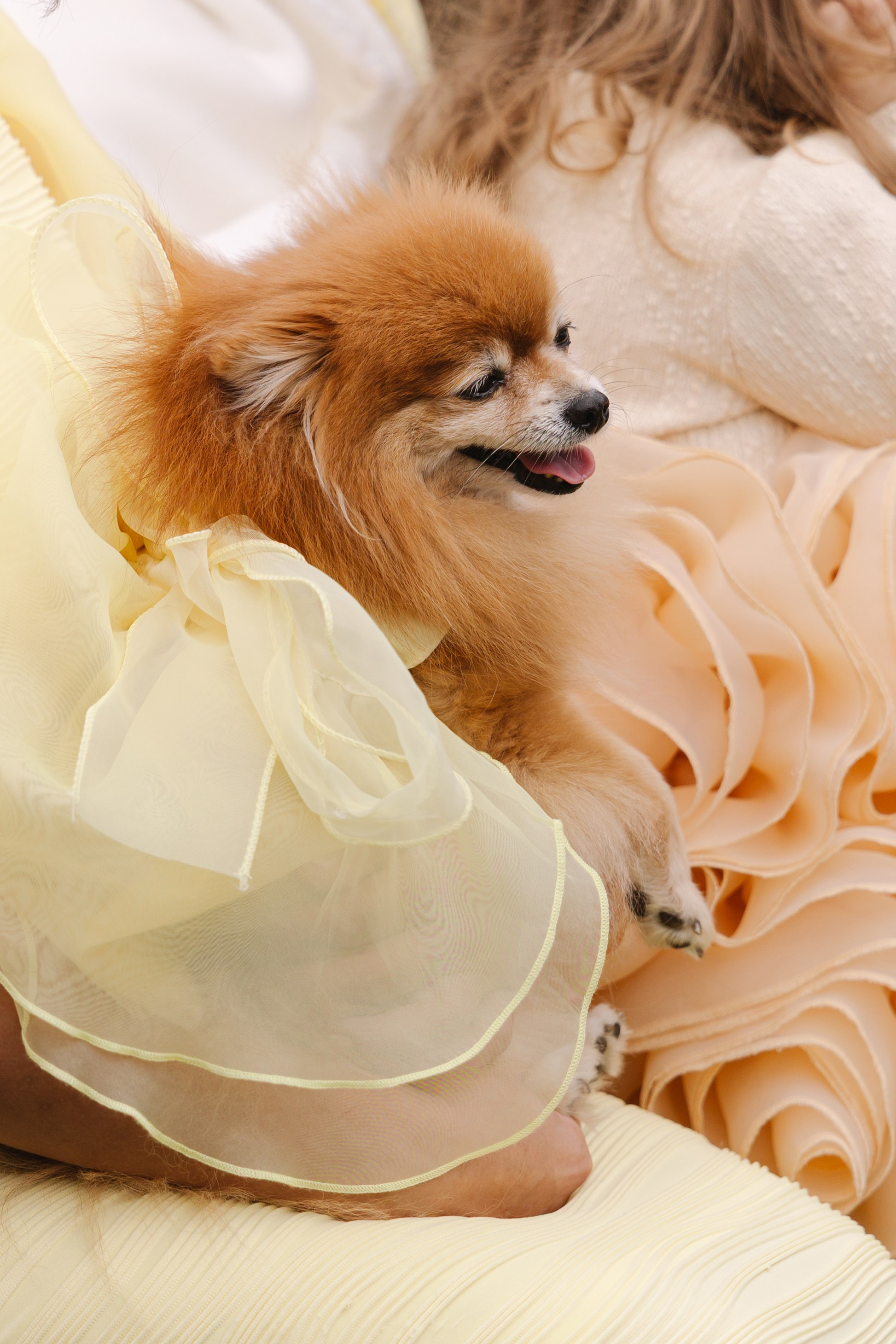 Genny and Yegor | Wedding in Germany. Yuliya Vaschenok — Photographer in the Netherlands