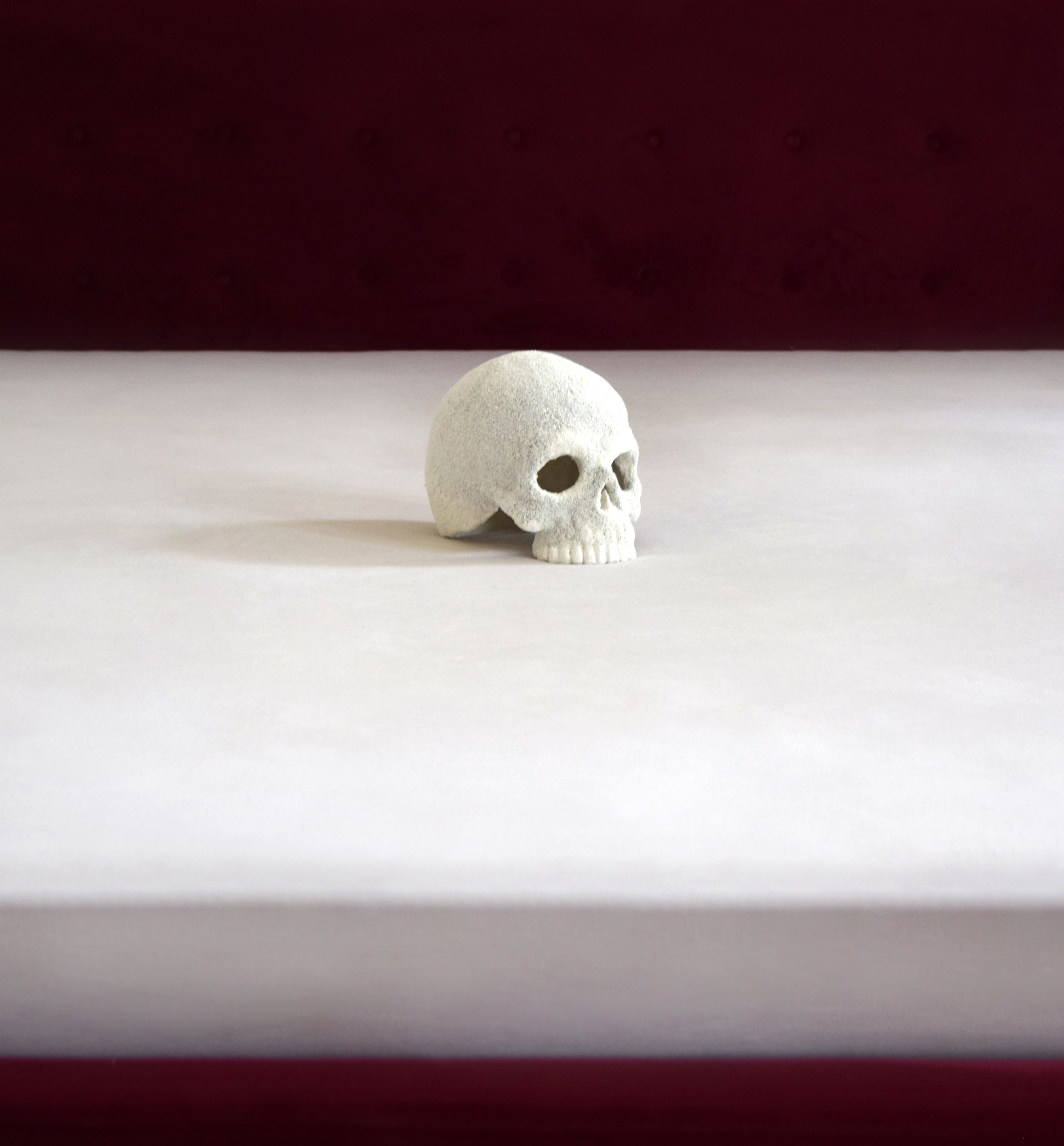 2023/2024. ▼DERHND ART▼ the vivid world of phantasmagoria