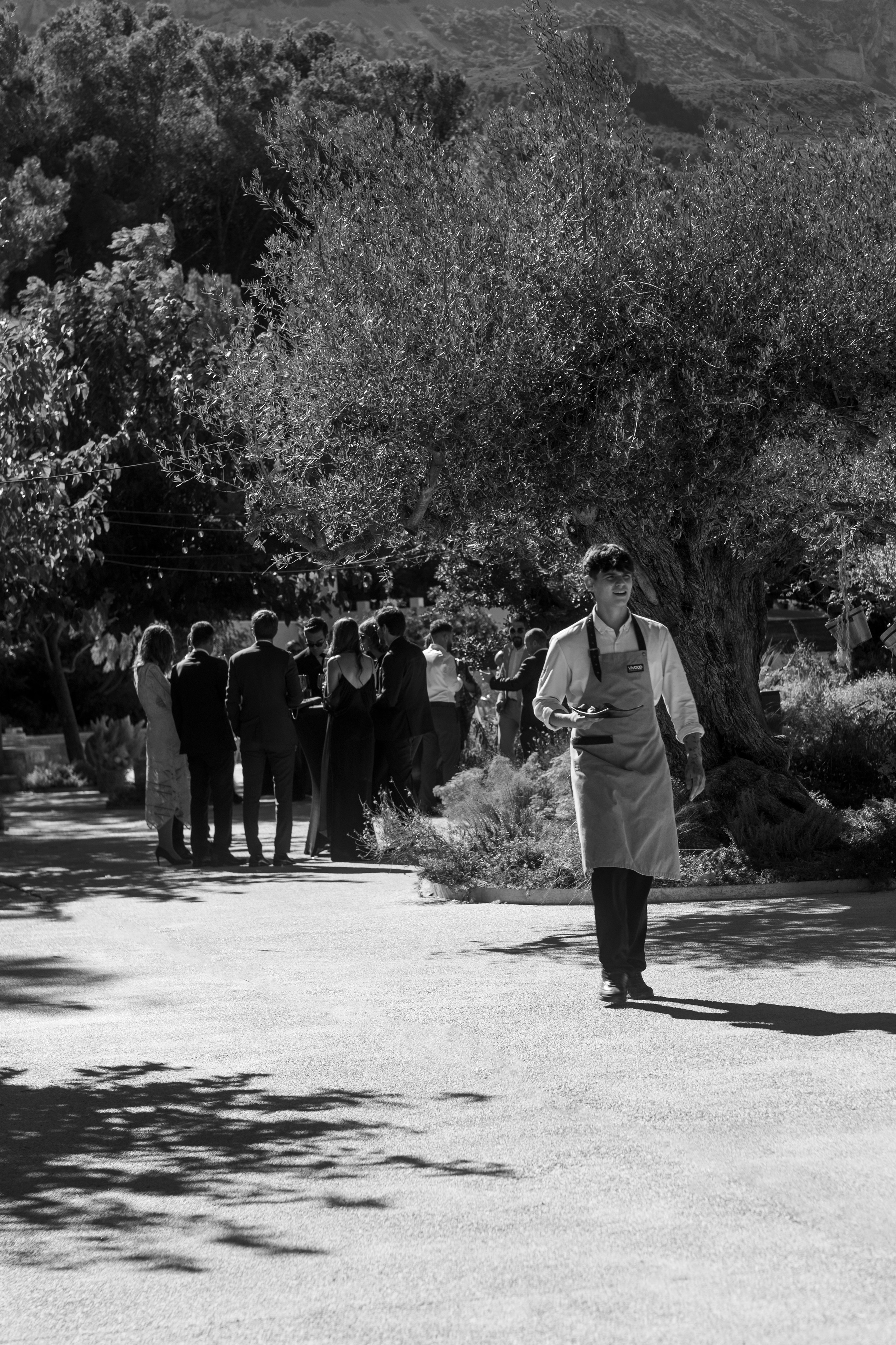 Dasha & Ister. Vivood Landscape. Paola fotógrafo / videografo de bodas en Barcelona