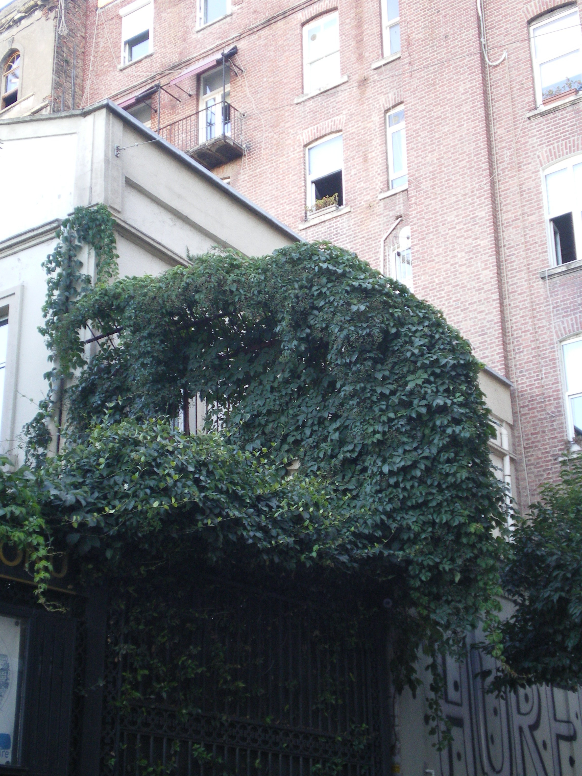 Ode to istanbul. Daria Sukhikh | Photography