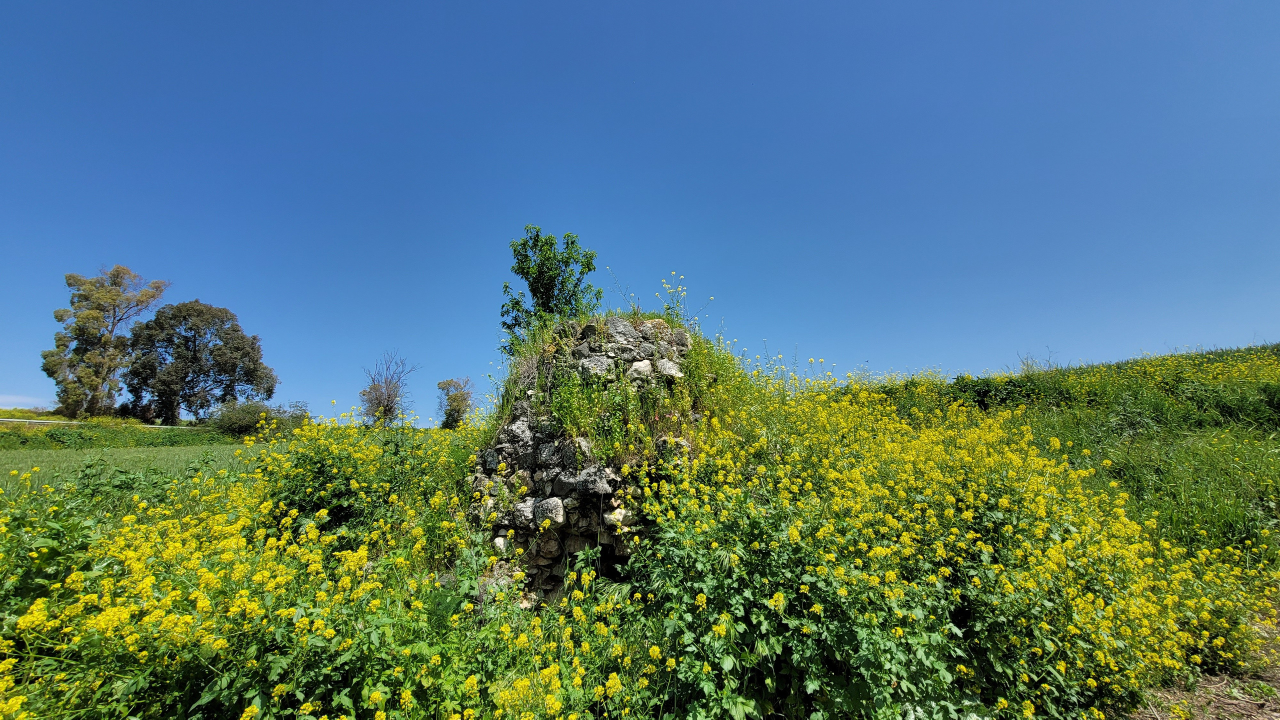 Реконструкционный поход Shvil Israel 2024 — Клуб «Нортман». КРиС «Нортман»