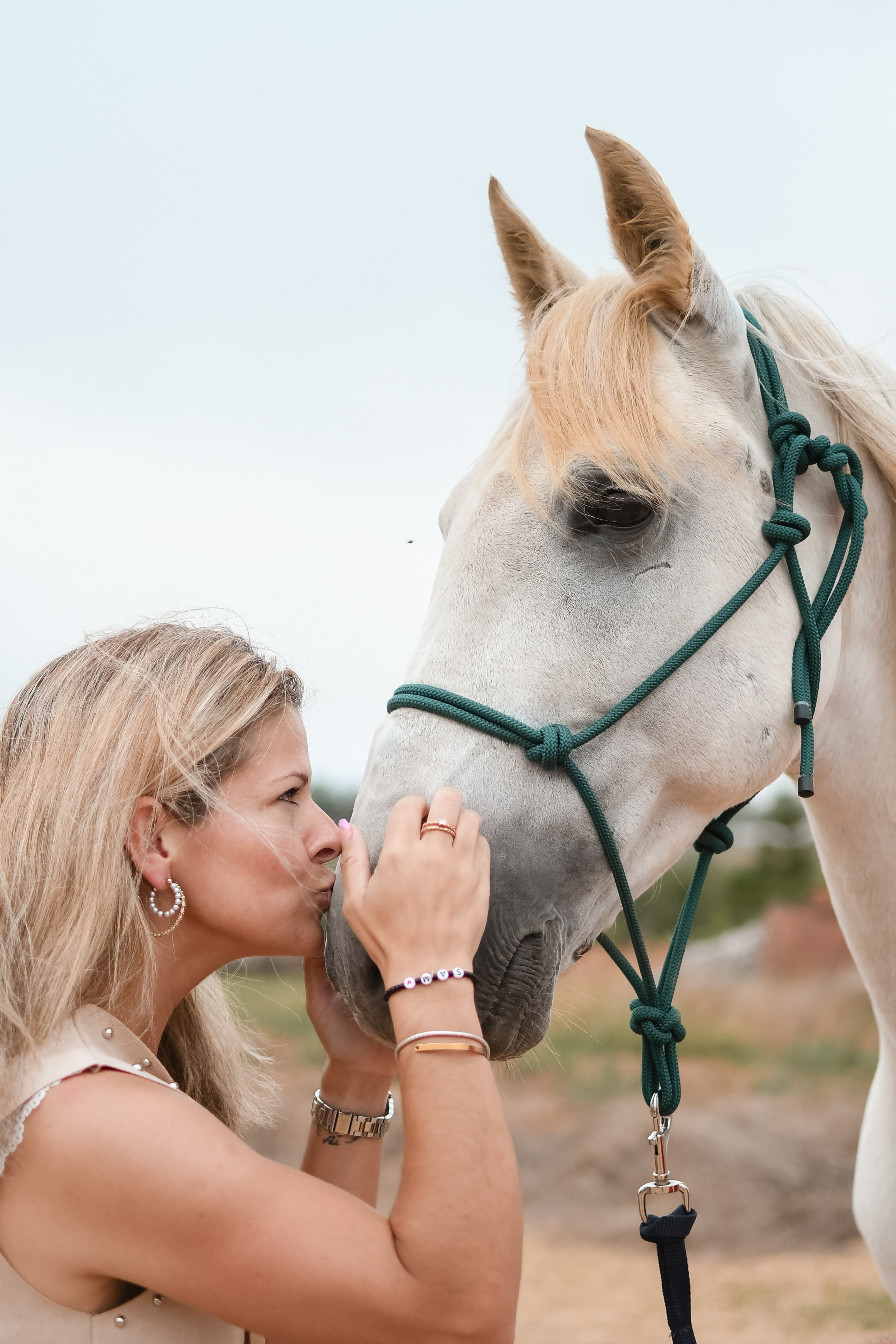 Horses. Niaferreiraphotography