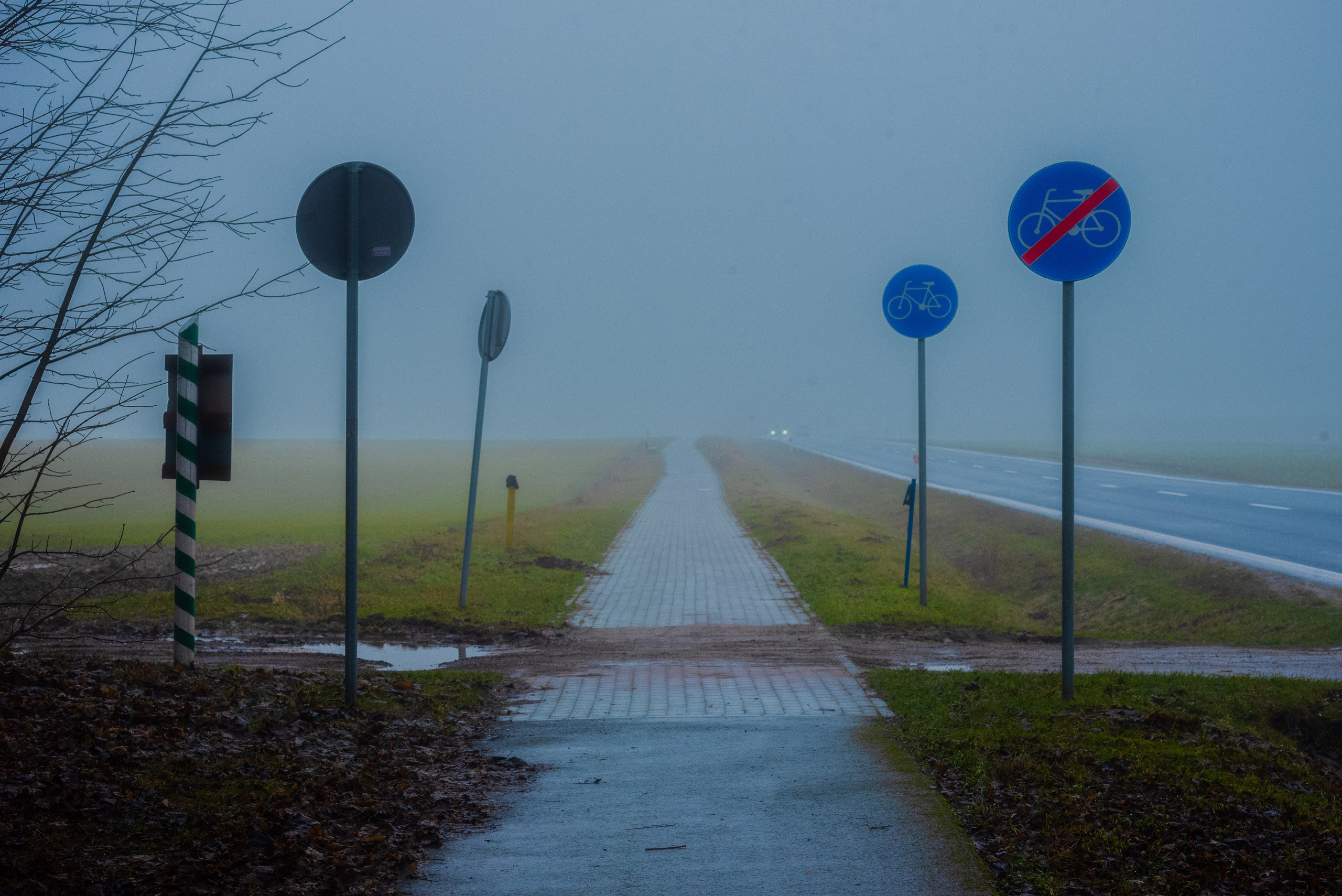Туман в полях. Kindshephoto Женский и семейный фотограф Москва