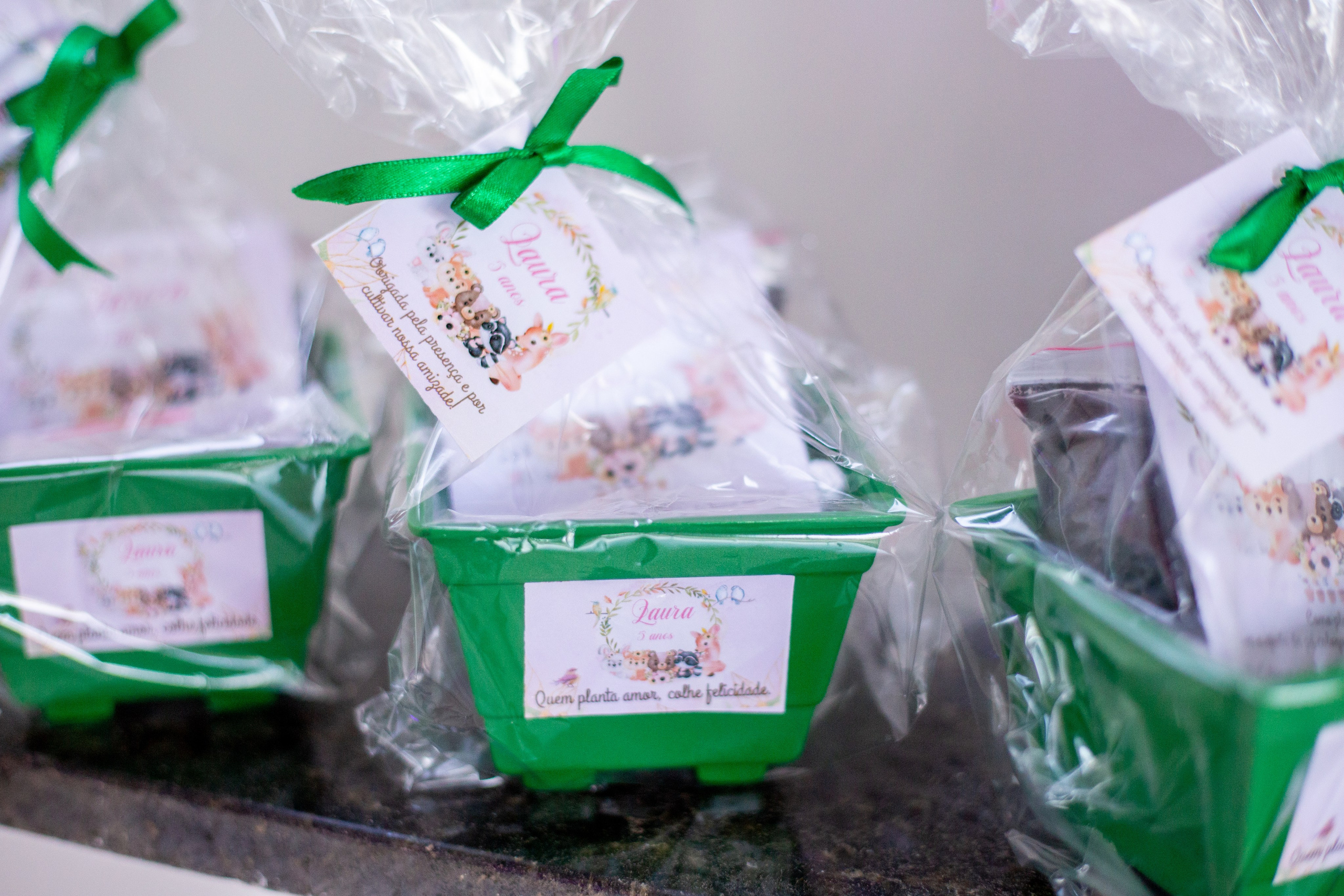 Laura 5 anos. Bem-vindo ao Meu Mundo Fotográfico