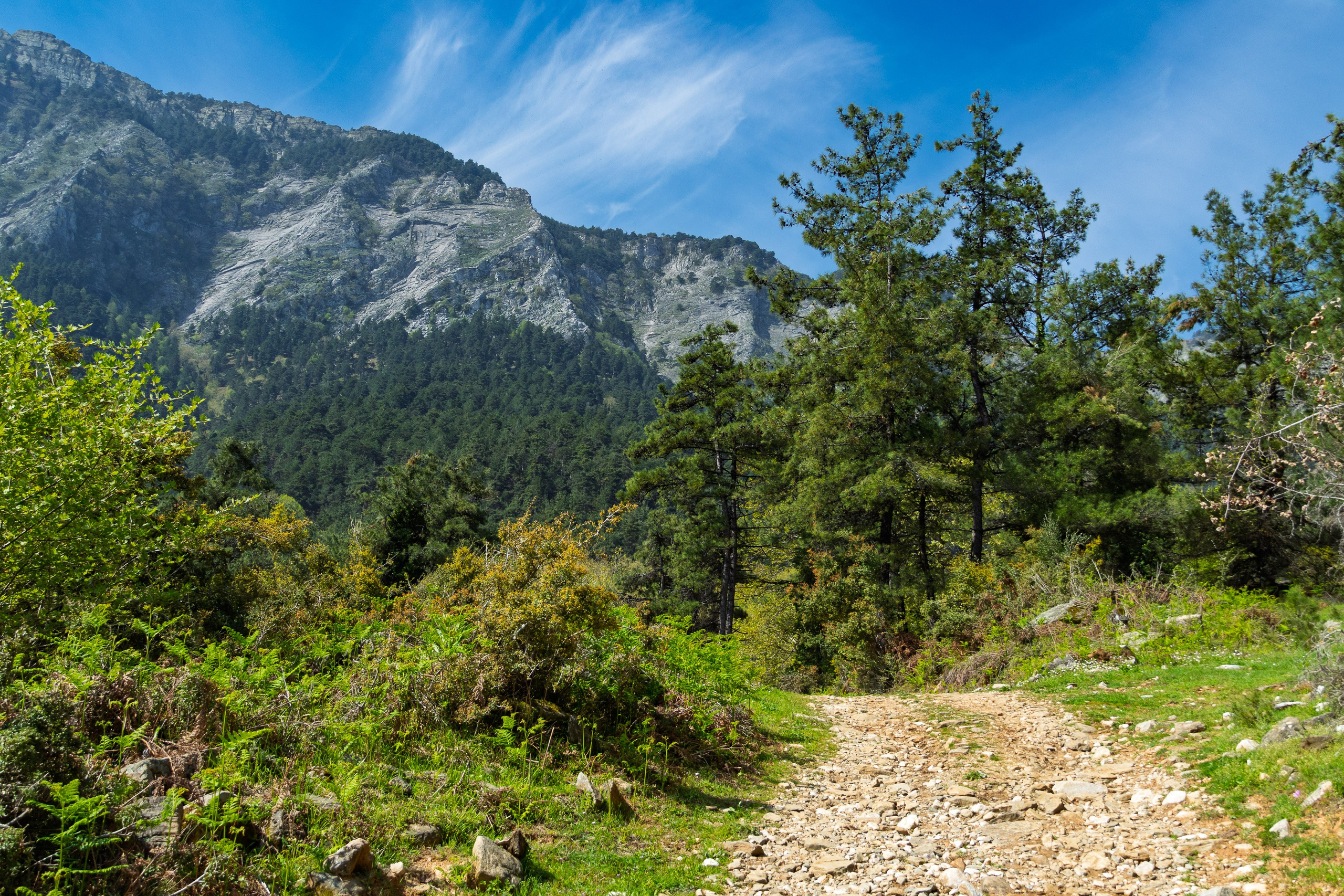 Thasos 2025. Fotografiideplacere.net