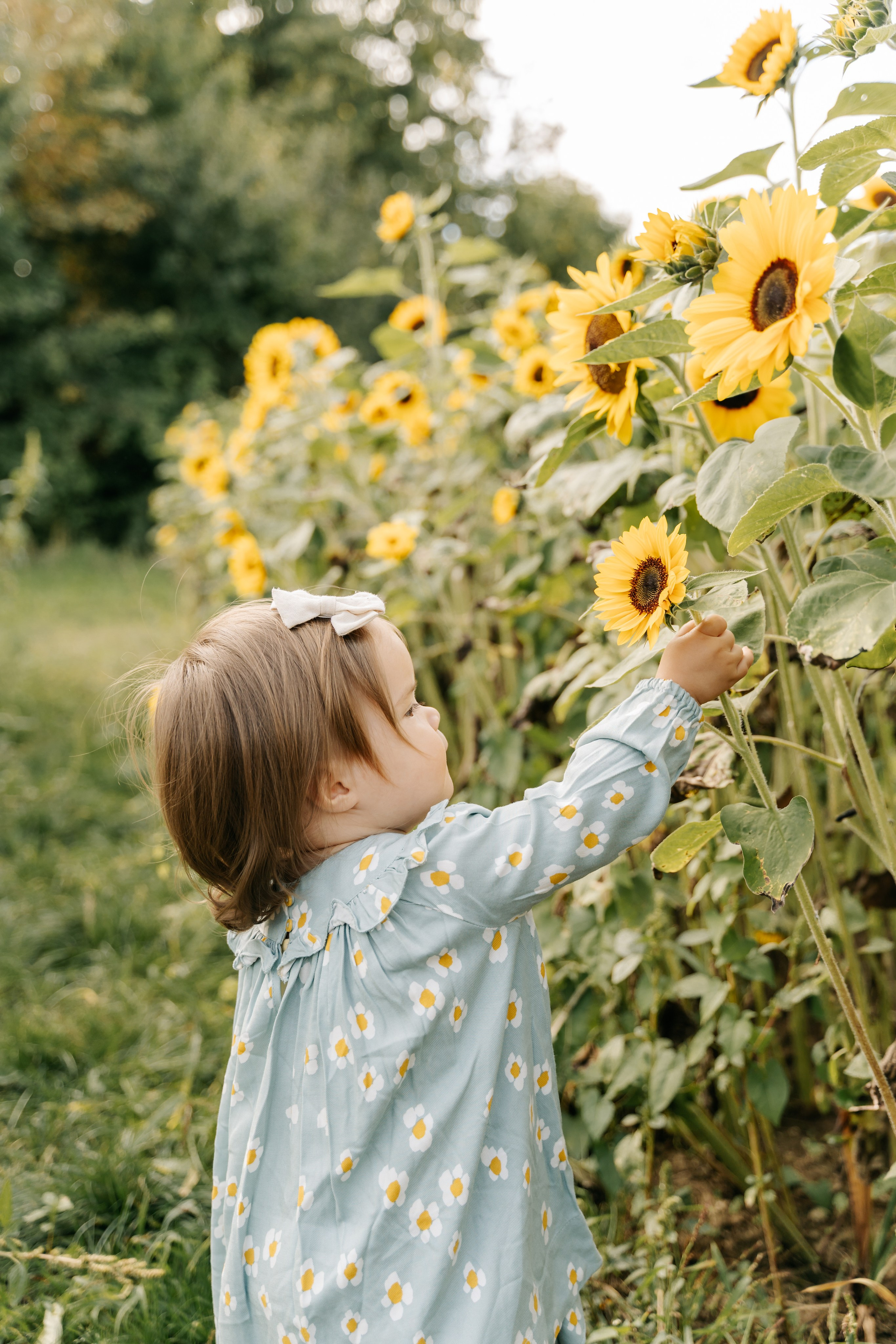Kinderfotografie. Authentische und emotionale Familienfotos in Landshut und Umgebung