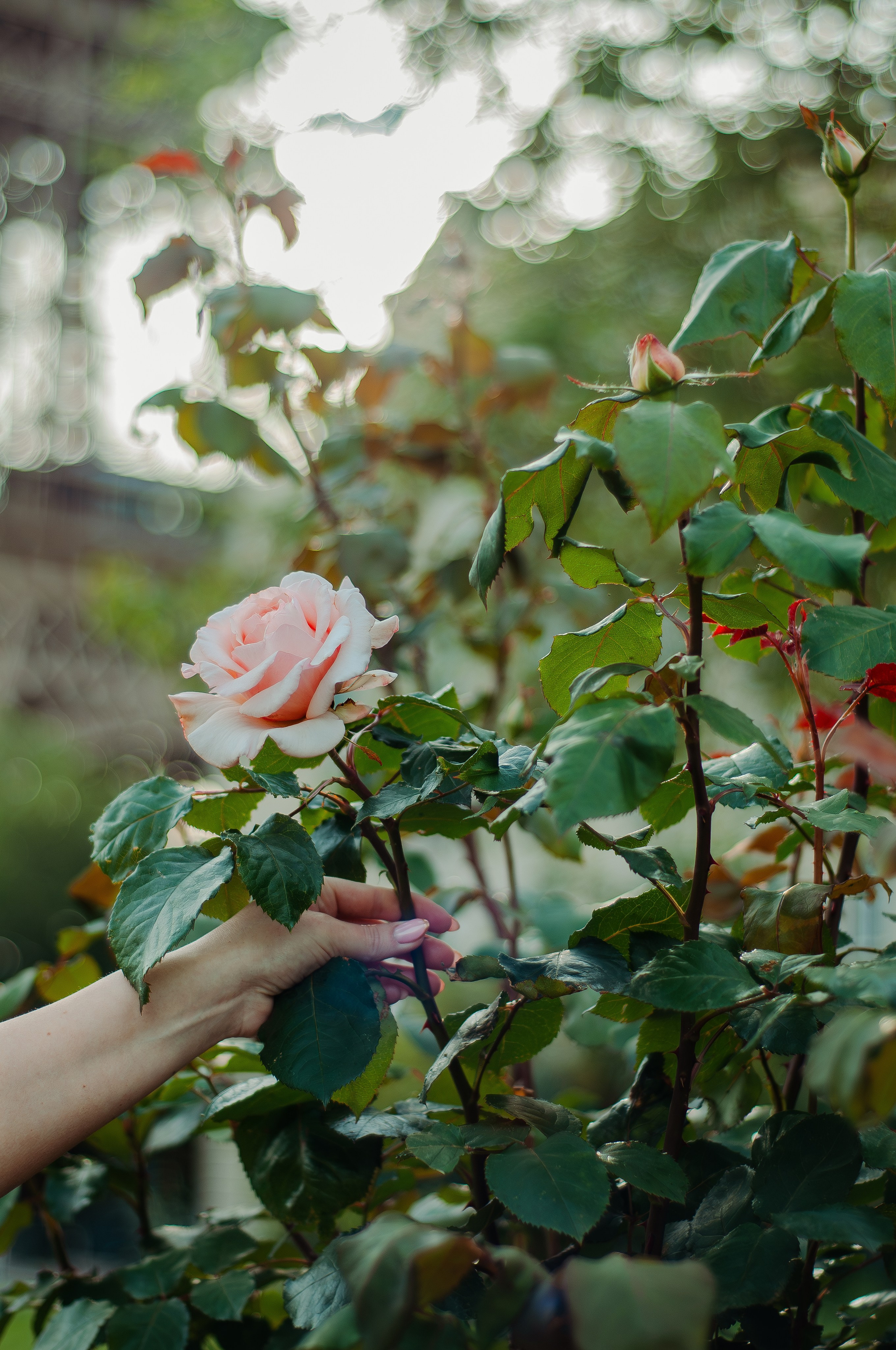 Индивидуальная фотосессия в Париже. Фотограф в Париже Полина Осипова