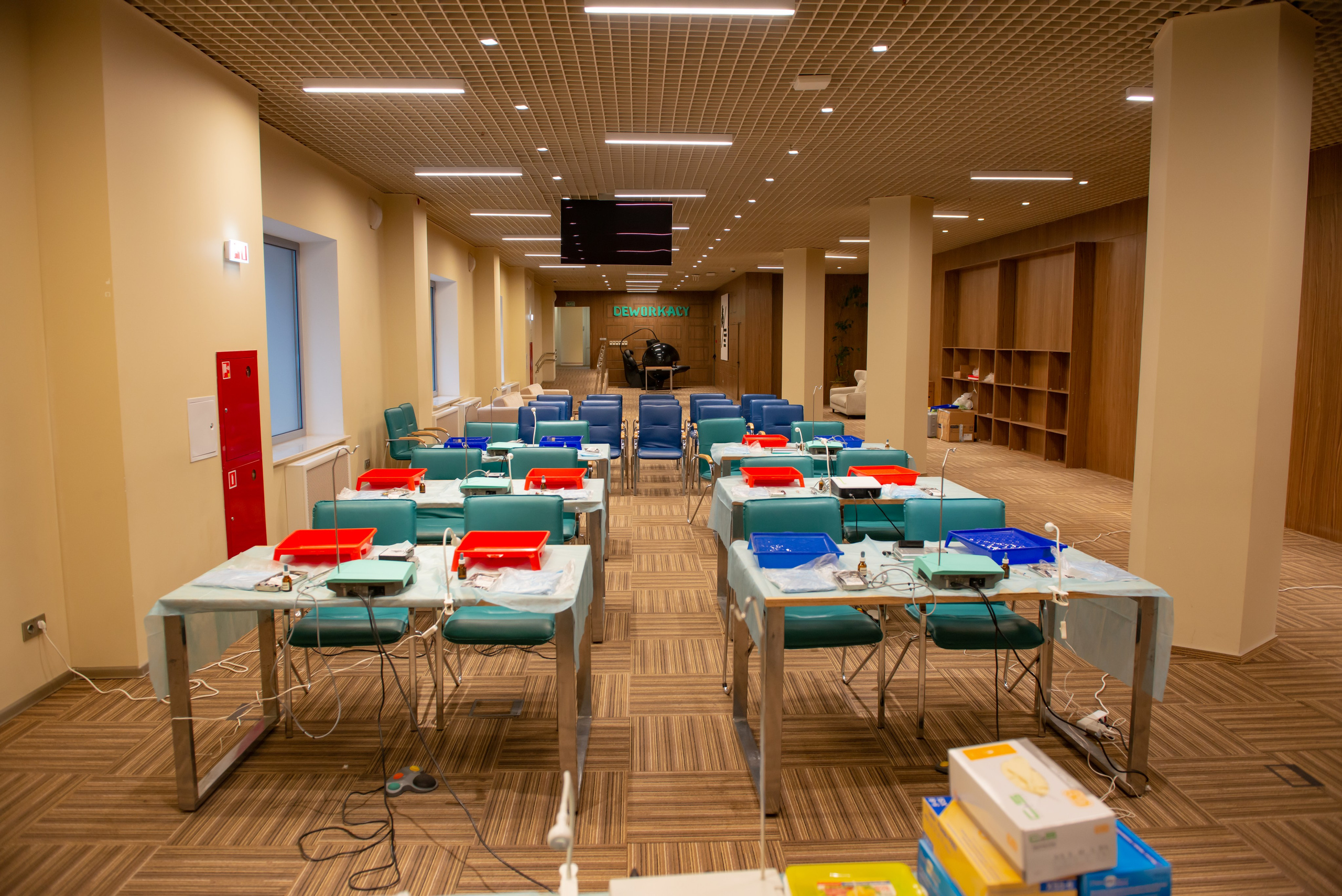 Репортажная съёмка. ФОТОГРАФ МЕКСИКА КИНТАНА-РОО