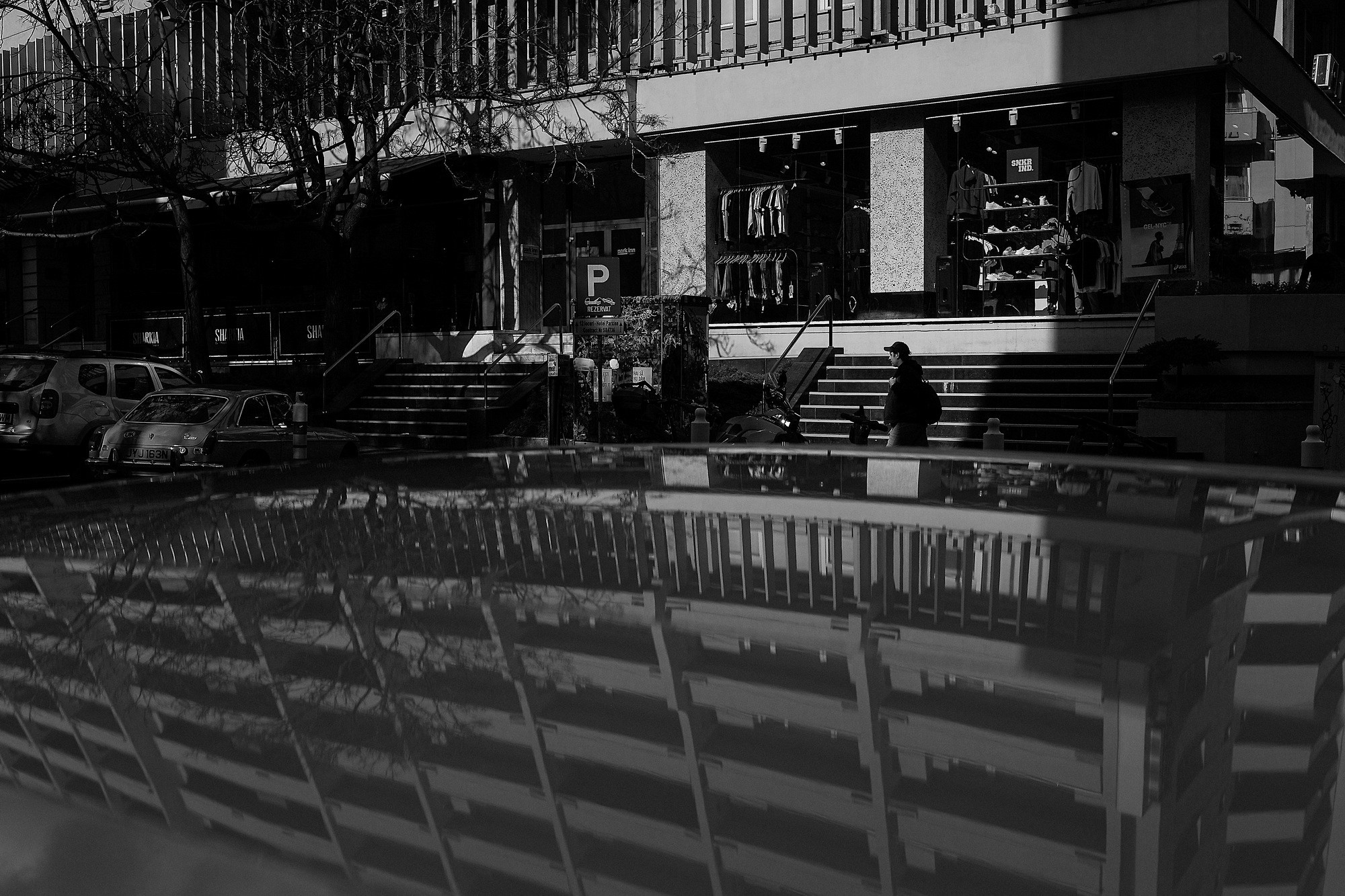 Monochrome. A Creative Insight | Catalin Nastase