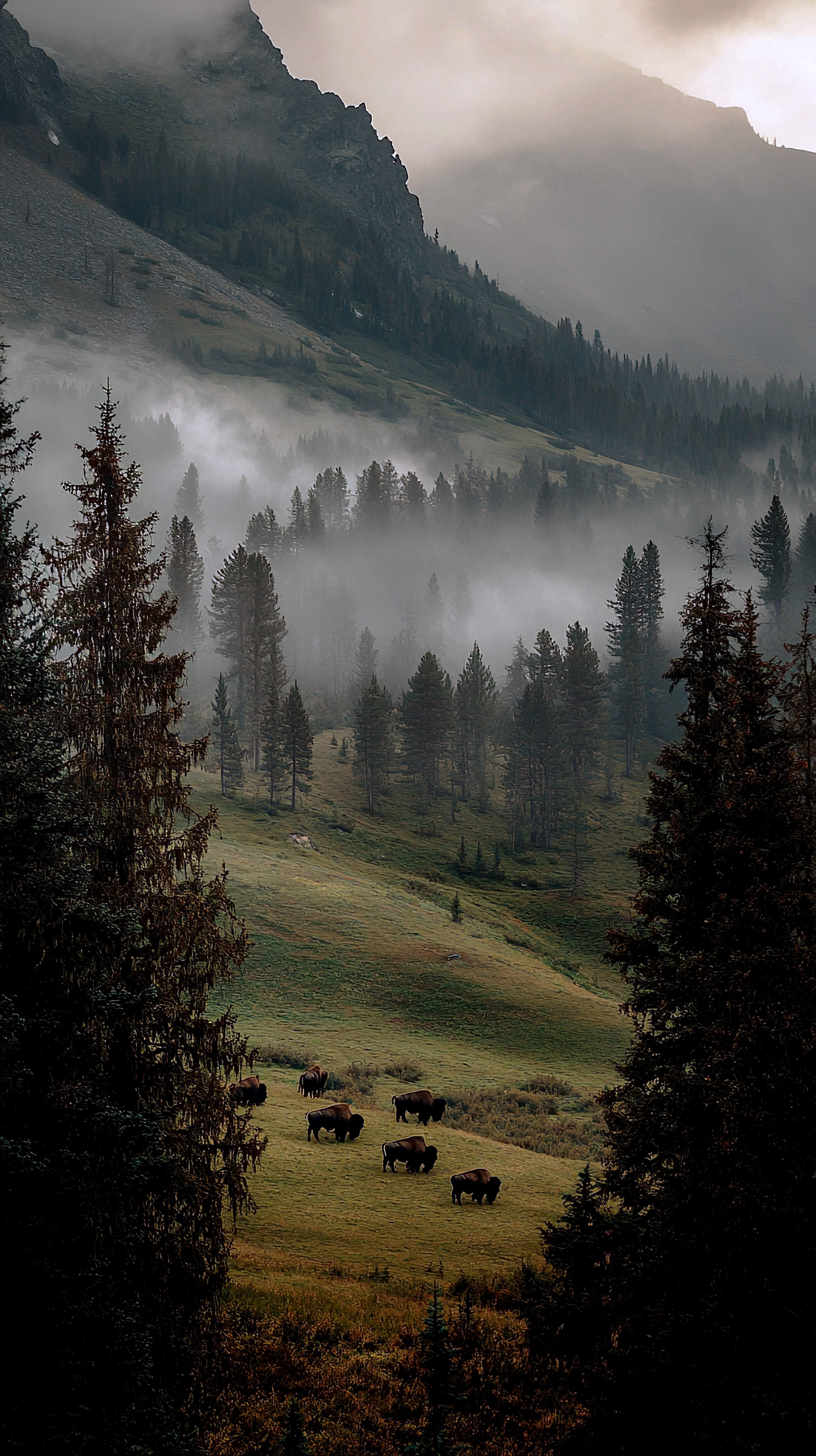 ПЕЙЗАЖ ФОТО СОЗДАНОЕ НЕЙРОСЕТЬЮ. LUKIN IGOR Photography