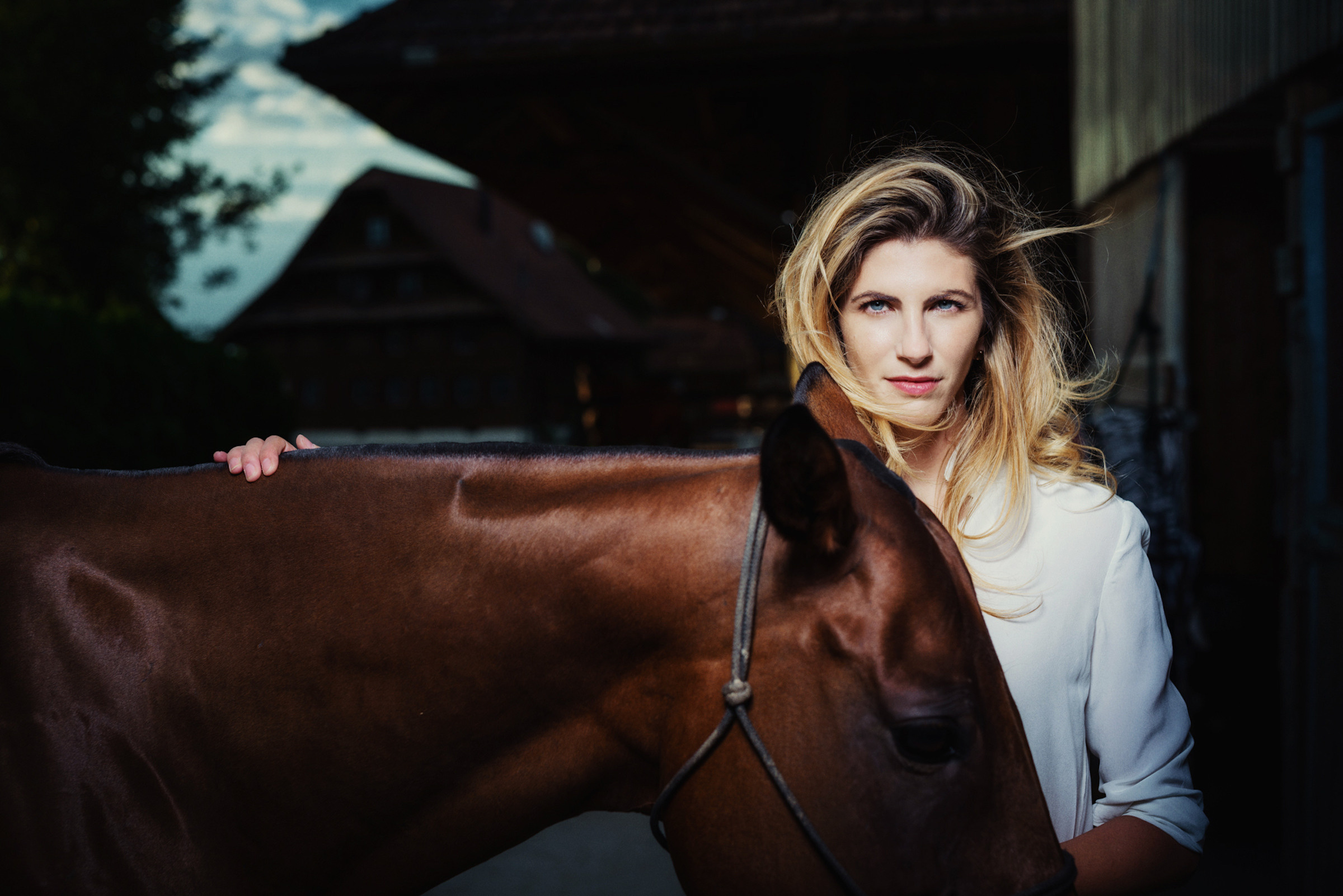 Photo shoot with horses