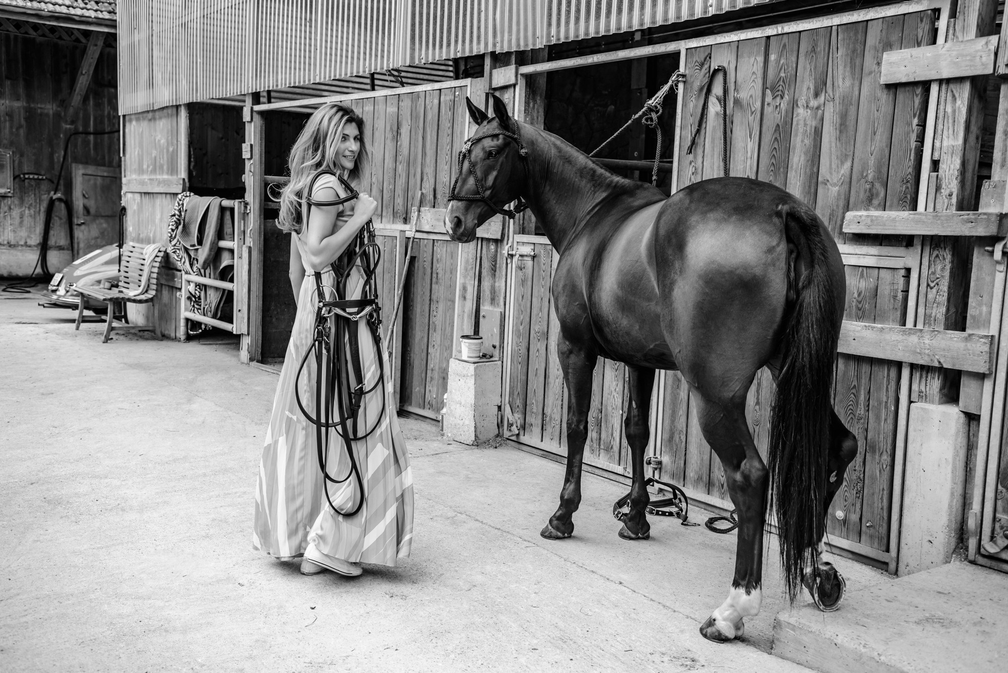 Photo shoot with horses