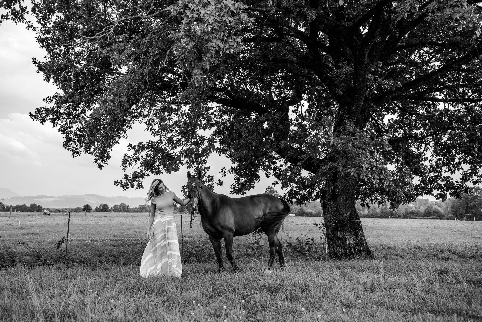 Photo shoot with horses