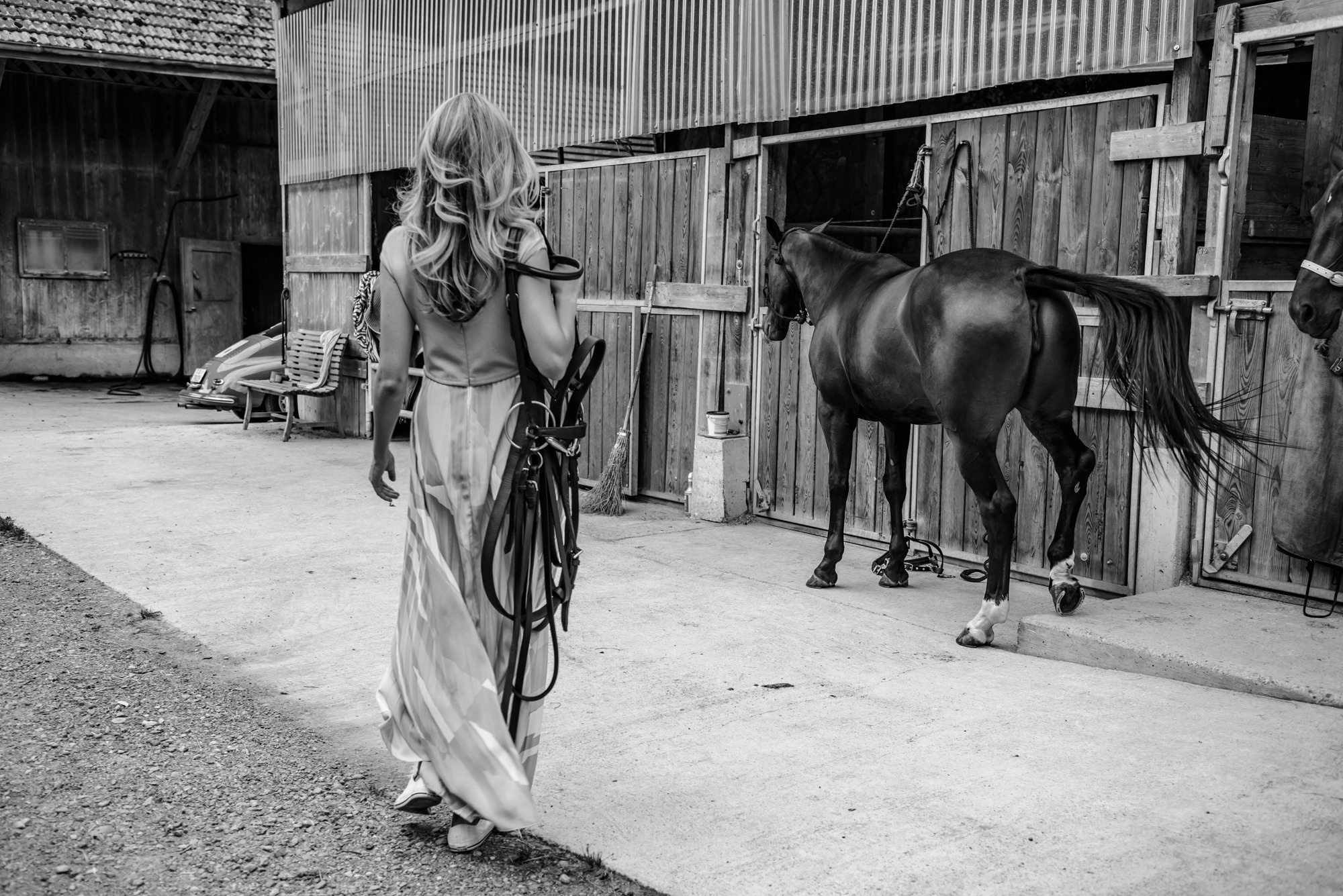 Photo shoot with horses