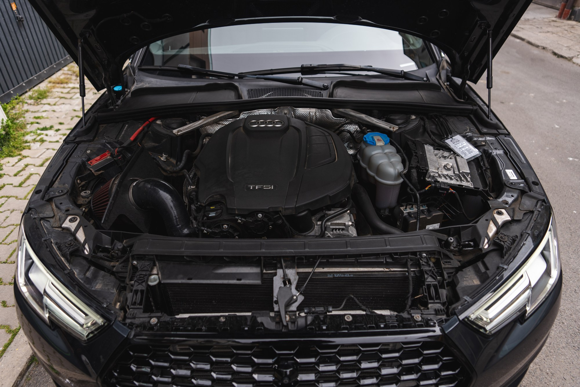 Ауди А4. Фотограф в Болгарии Екатерина Зубкова