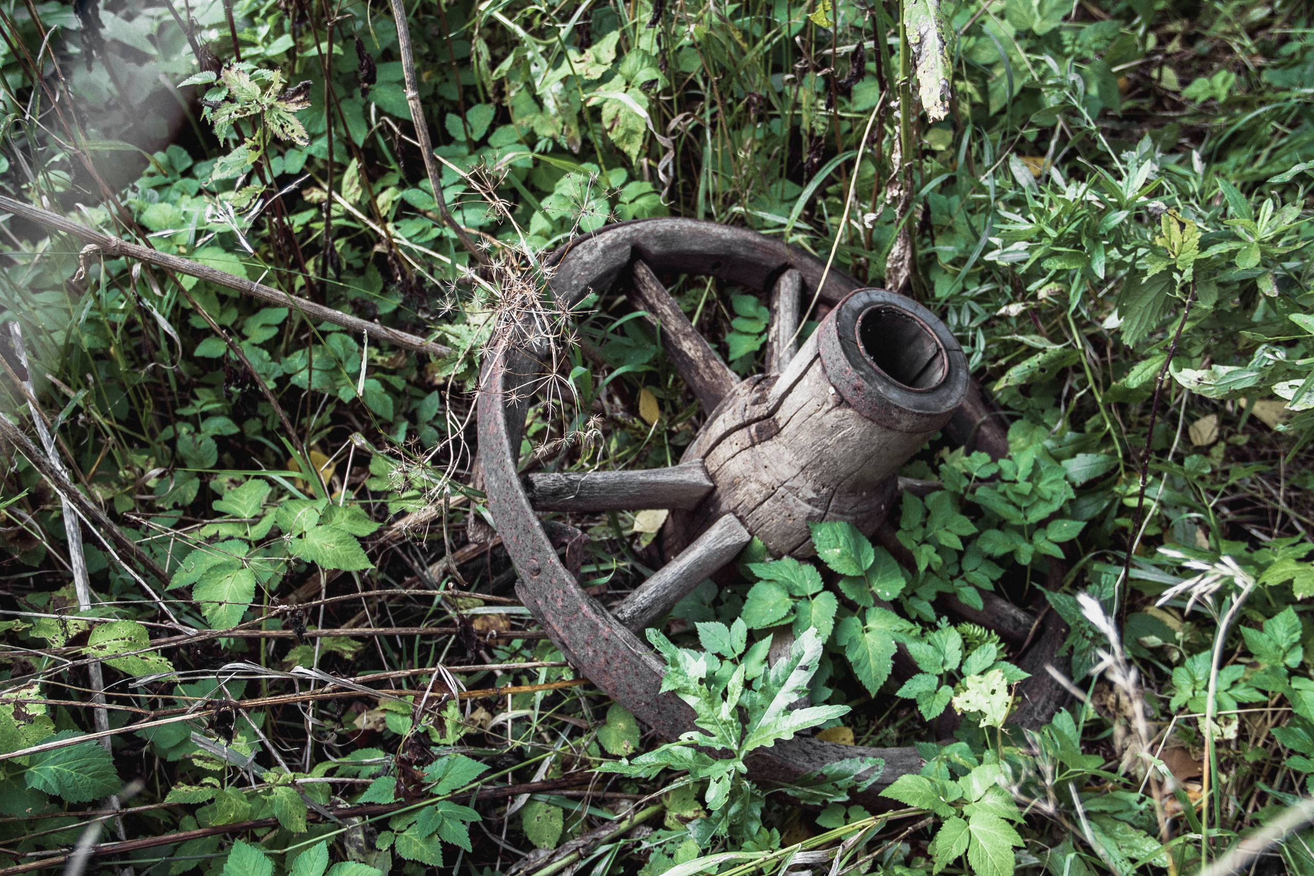 Verlassenes Russland: Manturowo im Gebiet Kostroma. Maria Chistyakovа — Fotografin in Karlsruhe, Baden-Baden und Umgebung