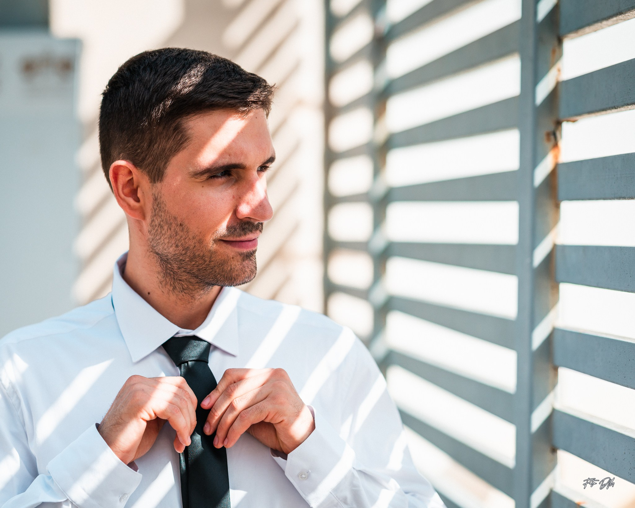 Daniela & Cristi | Civil Wedding. Fotografie & Videografie de nuntă în Timișoara