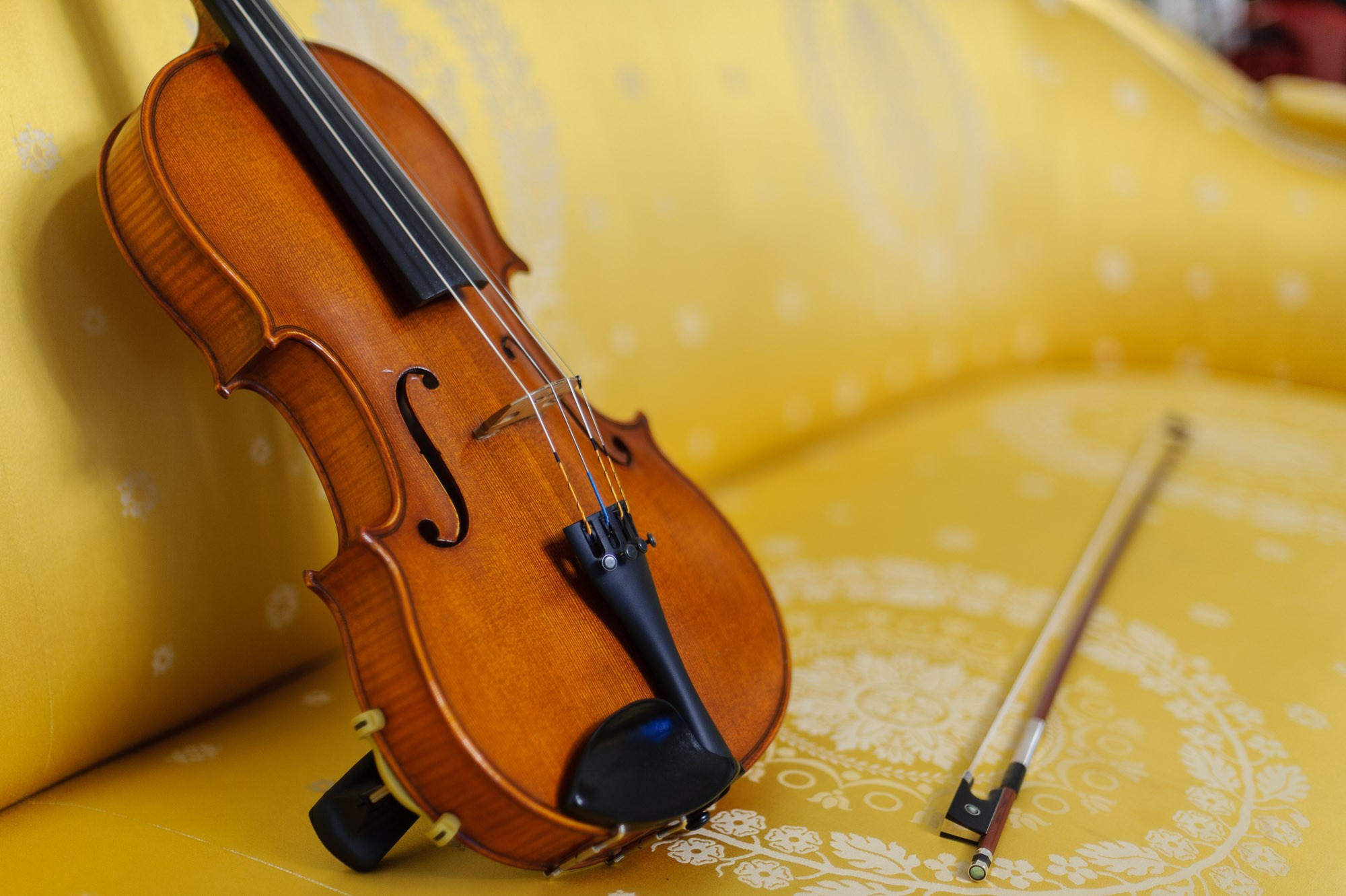 Concerts. Alexander Kabanov Photographer