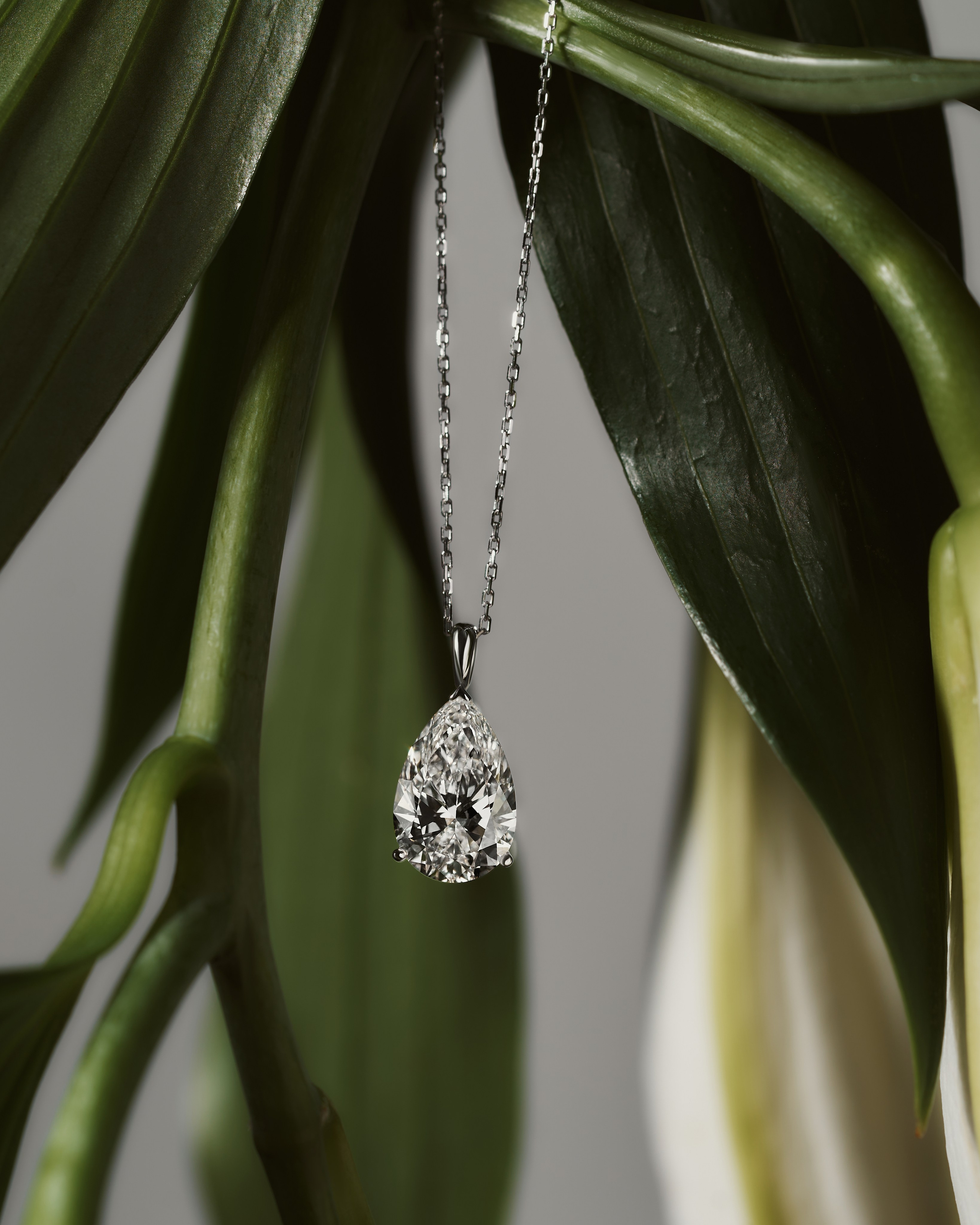 JEWELLERY. Fashion and advertising photographer Alina Mikhalkovich Dubai