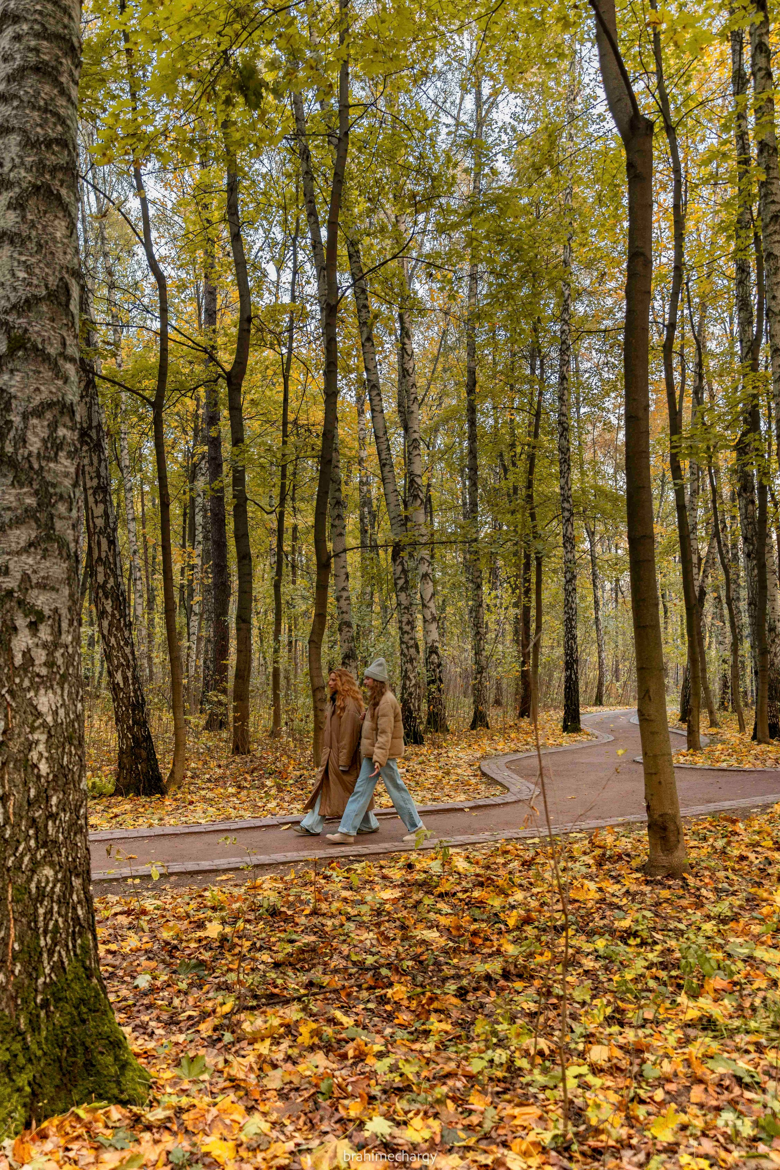 Фото. Брахим — фотограф