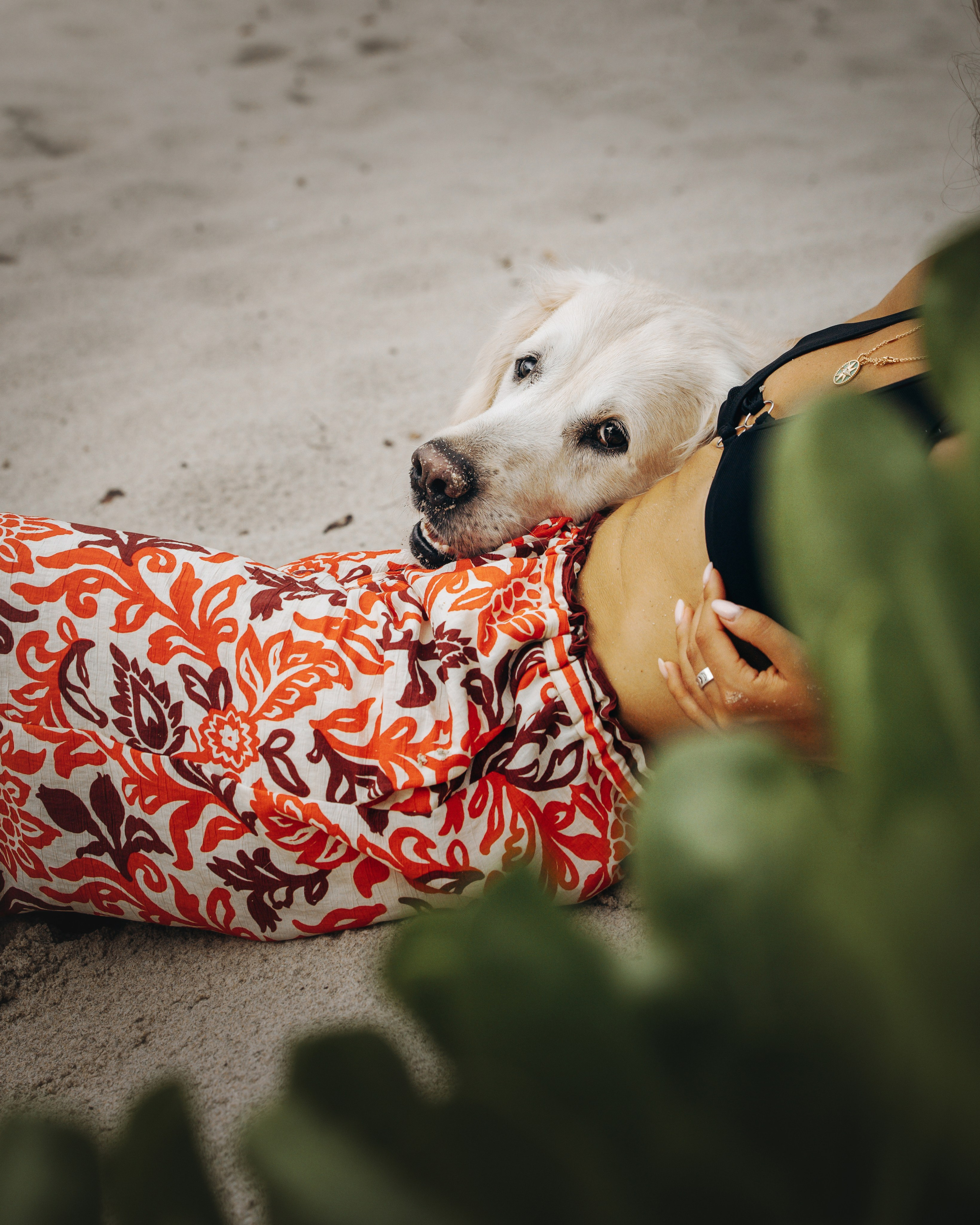 Robby & Asya. Pet Photographer Viktoriya Aleshenko