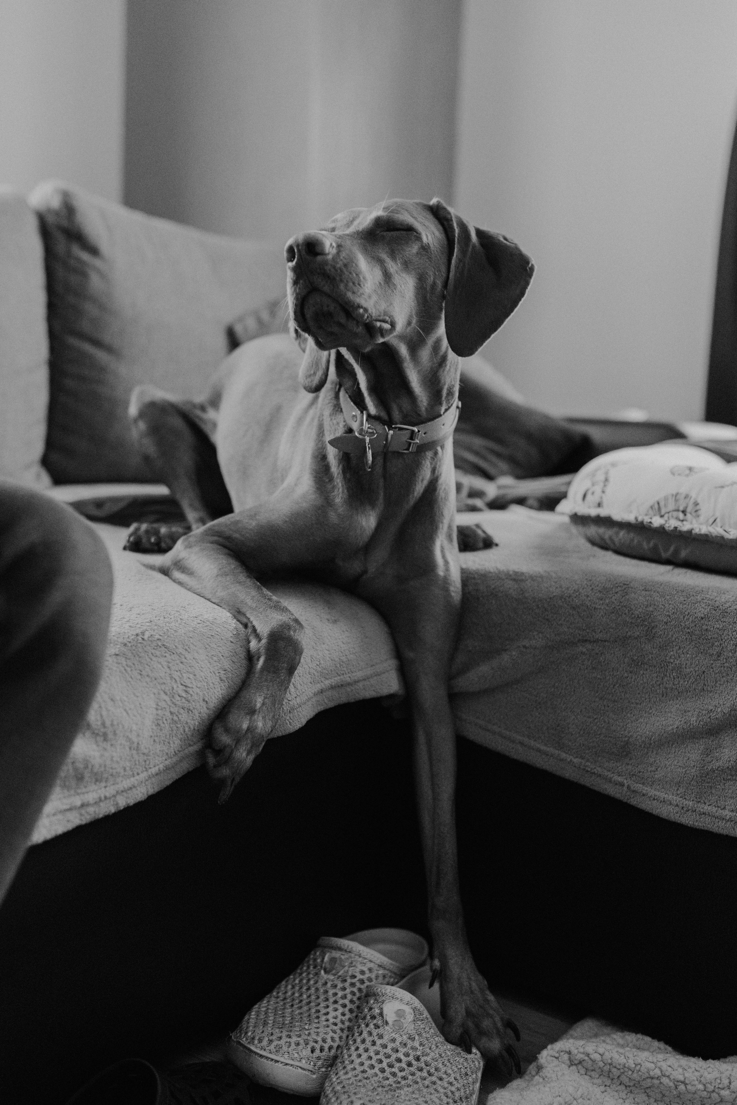 Sarah Ilaria — Newborn. Main