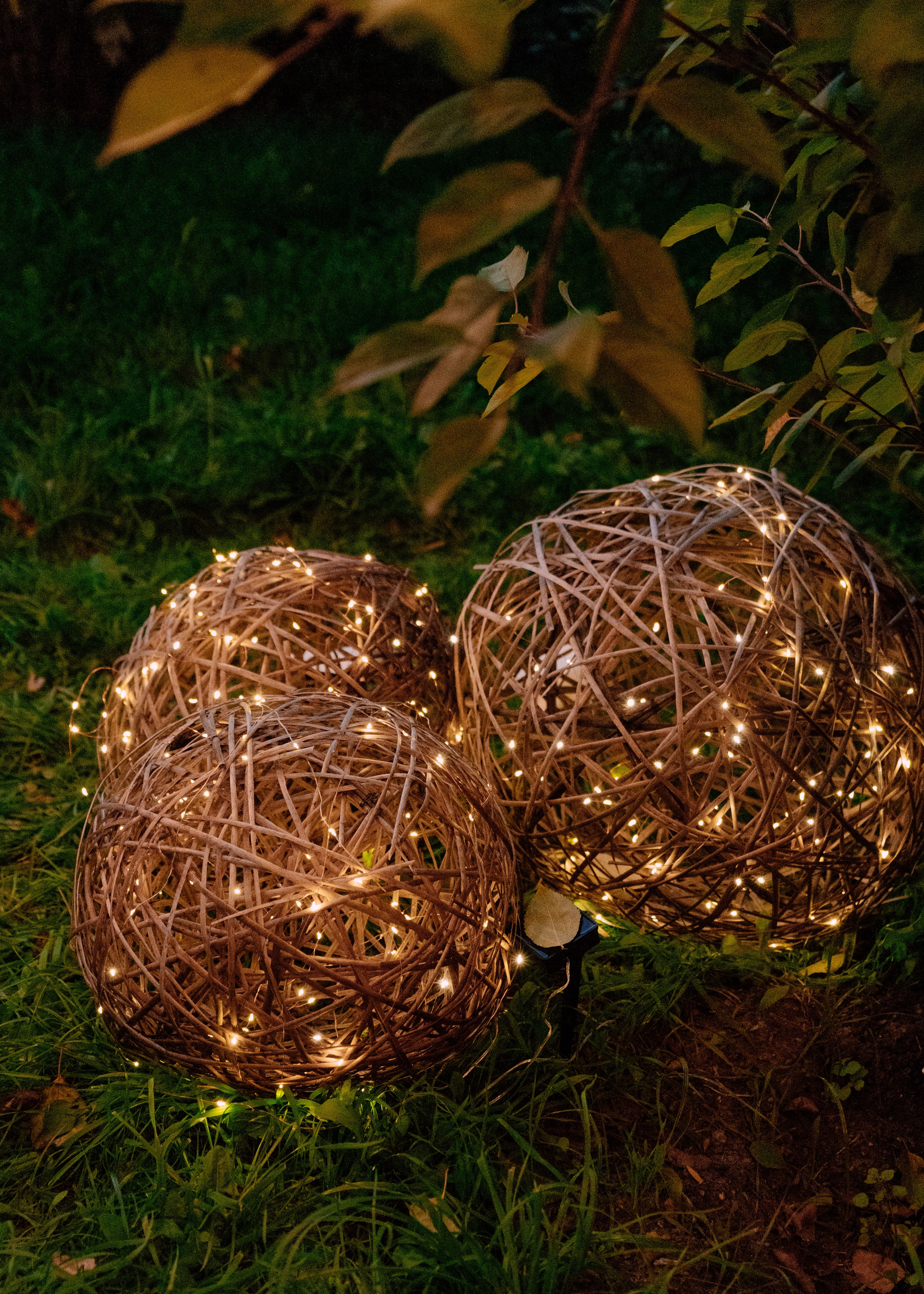 День Рождения Бори. YAADELINA Фотограф Аделина Багдасарян