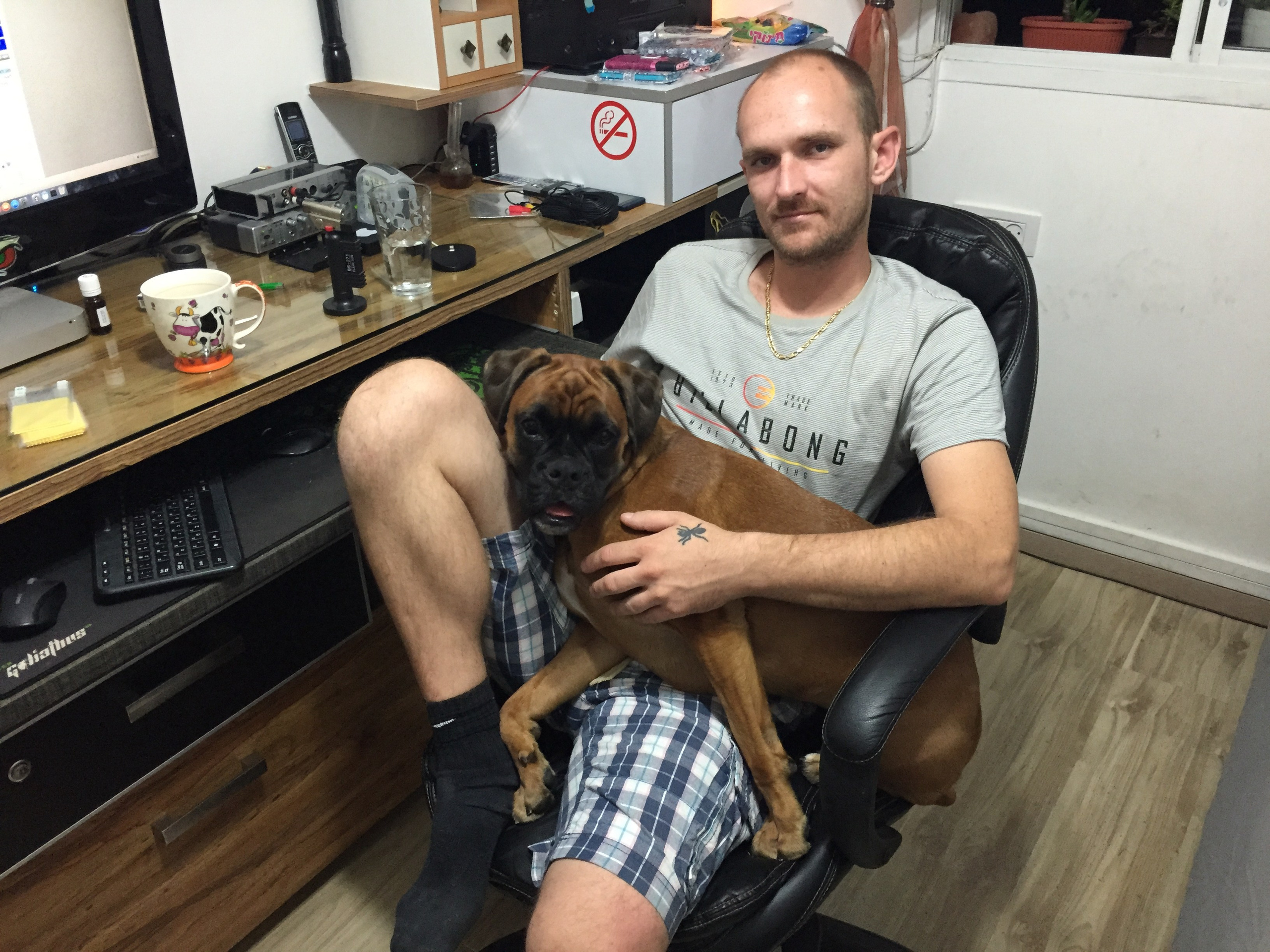 My ״Star״ Boxer Dog