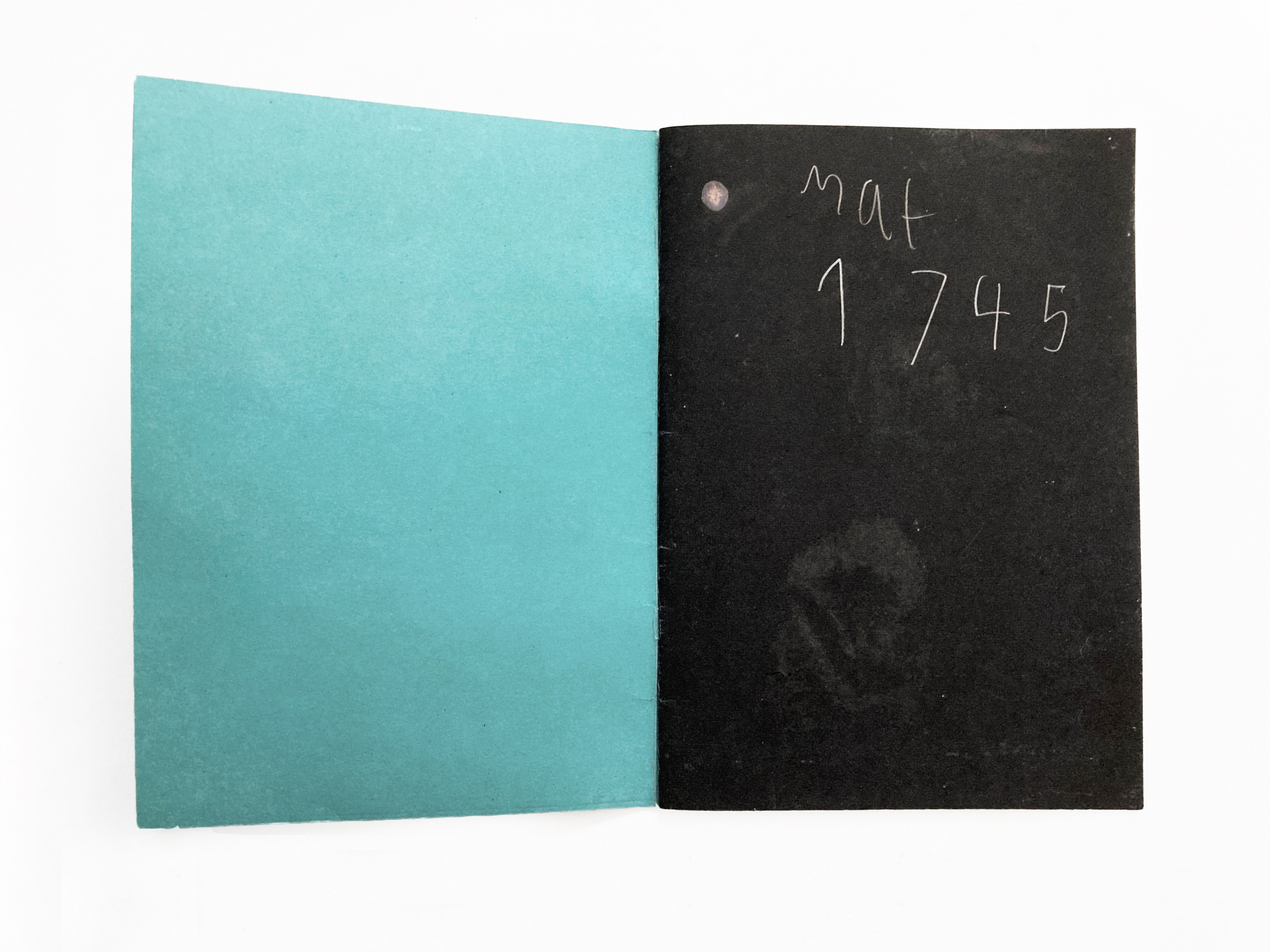 Муха в янтаре. Sveta Kaverina