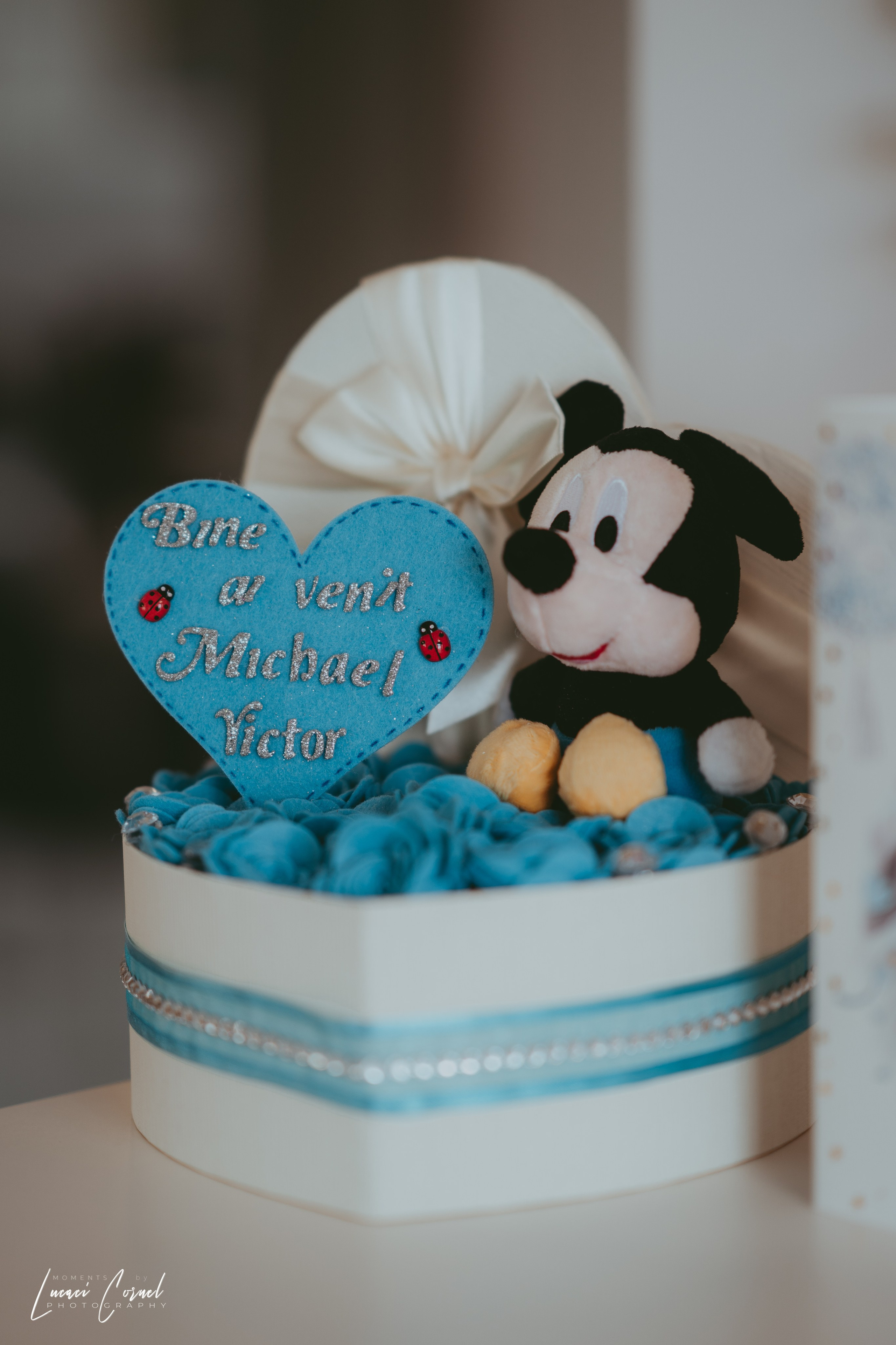 Familie – Amintiri de neuitat. Fotograf de nuntă, corporate, botezuri, majorate și aniversări Roman, Lucaci Cornel