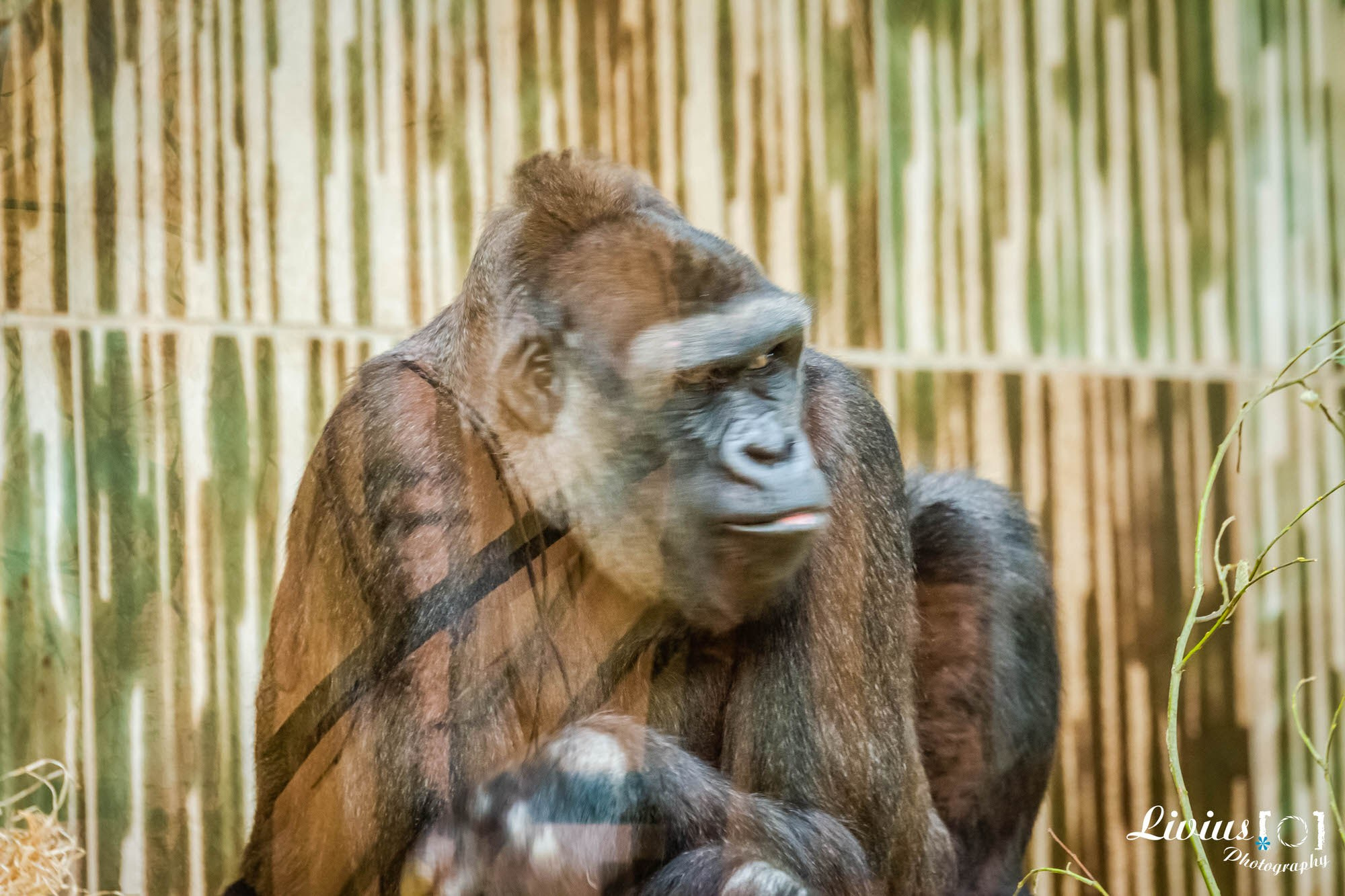 Tierpark Nürnberg. FOTO KREATIV